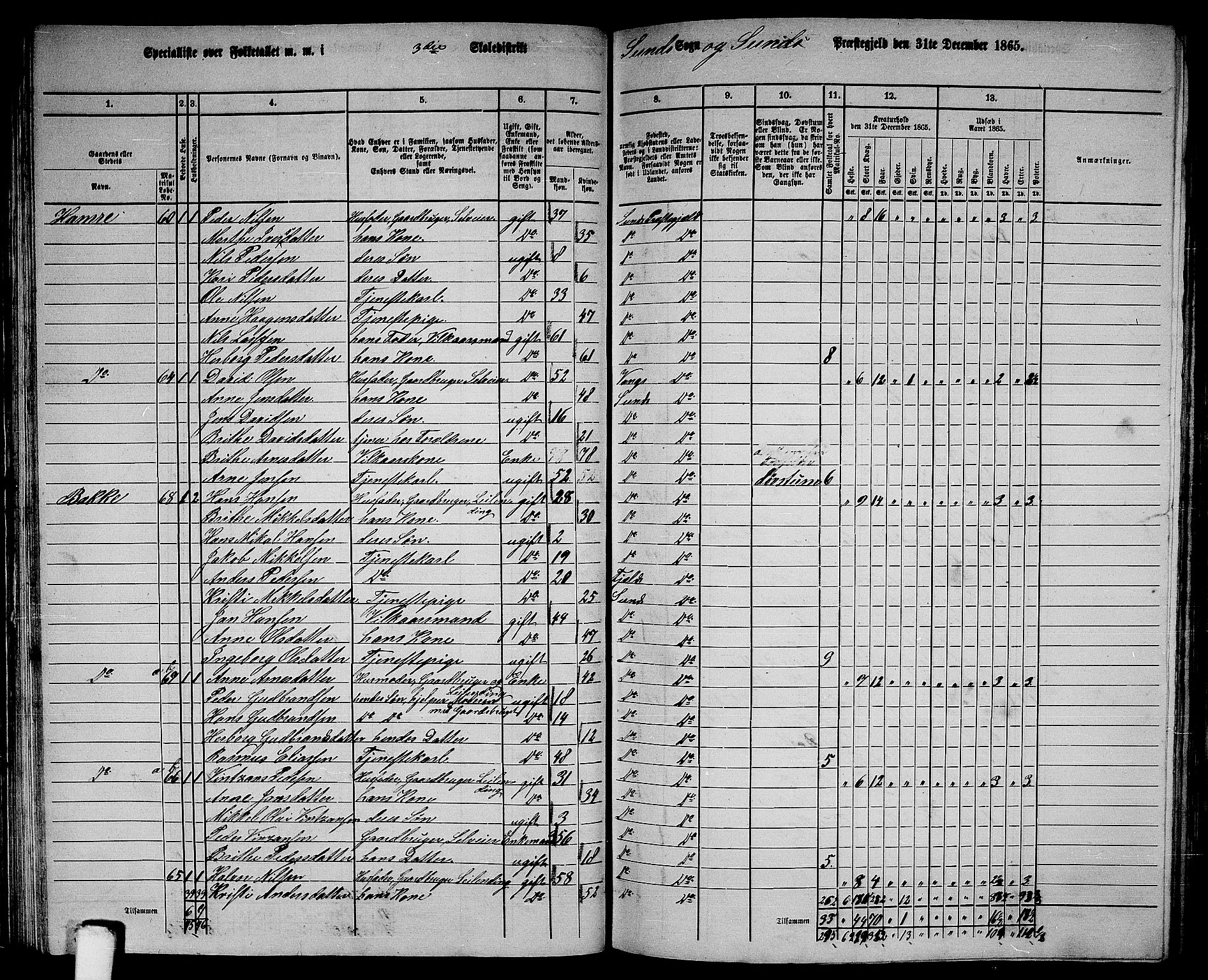 RA, 1865 census for Sund, 1865, p. 55