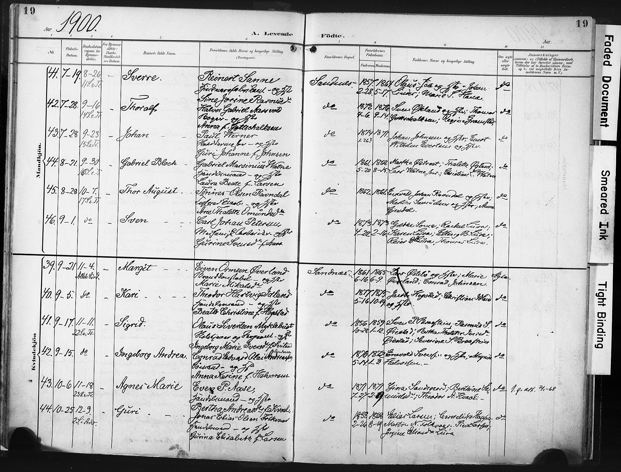 Høyland sokneprestkontor, AV/SAST-A-101799/001/30BA/L0016: Parish register (official) no. A 16, 1899-1911, p. 19