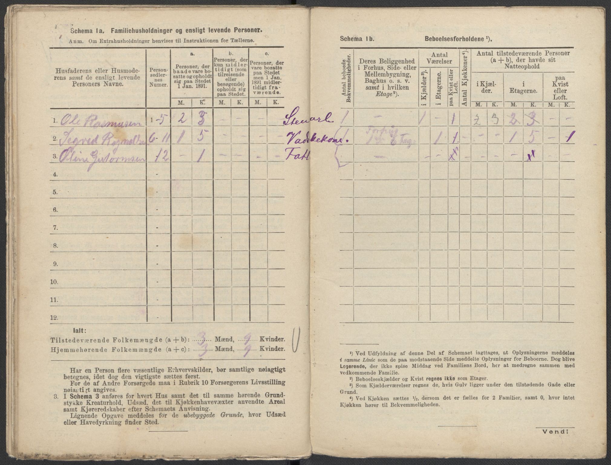 RA, 1891 Census for 1301 Bergen, 1891, p. 2491