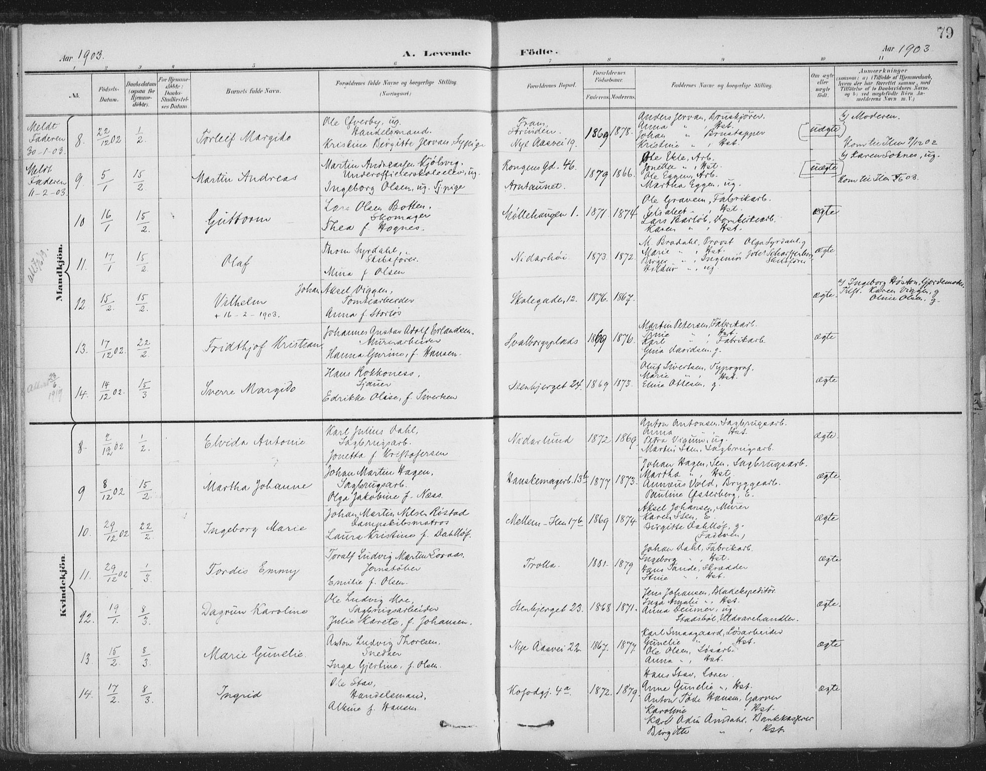 Ministerialprotokoller, klokkerbøker og fødselsregistre - Sør-Trøndelag, SAT/A-1456/603/L0167: Parish register (official) no. 603A06, 1896-1932, p. 79