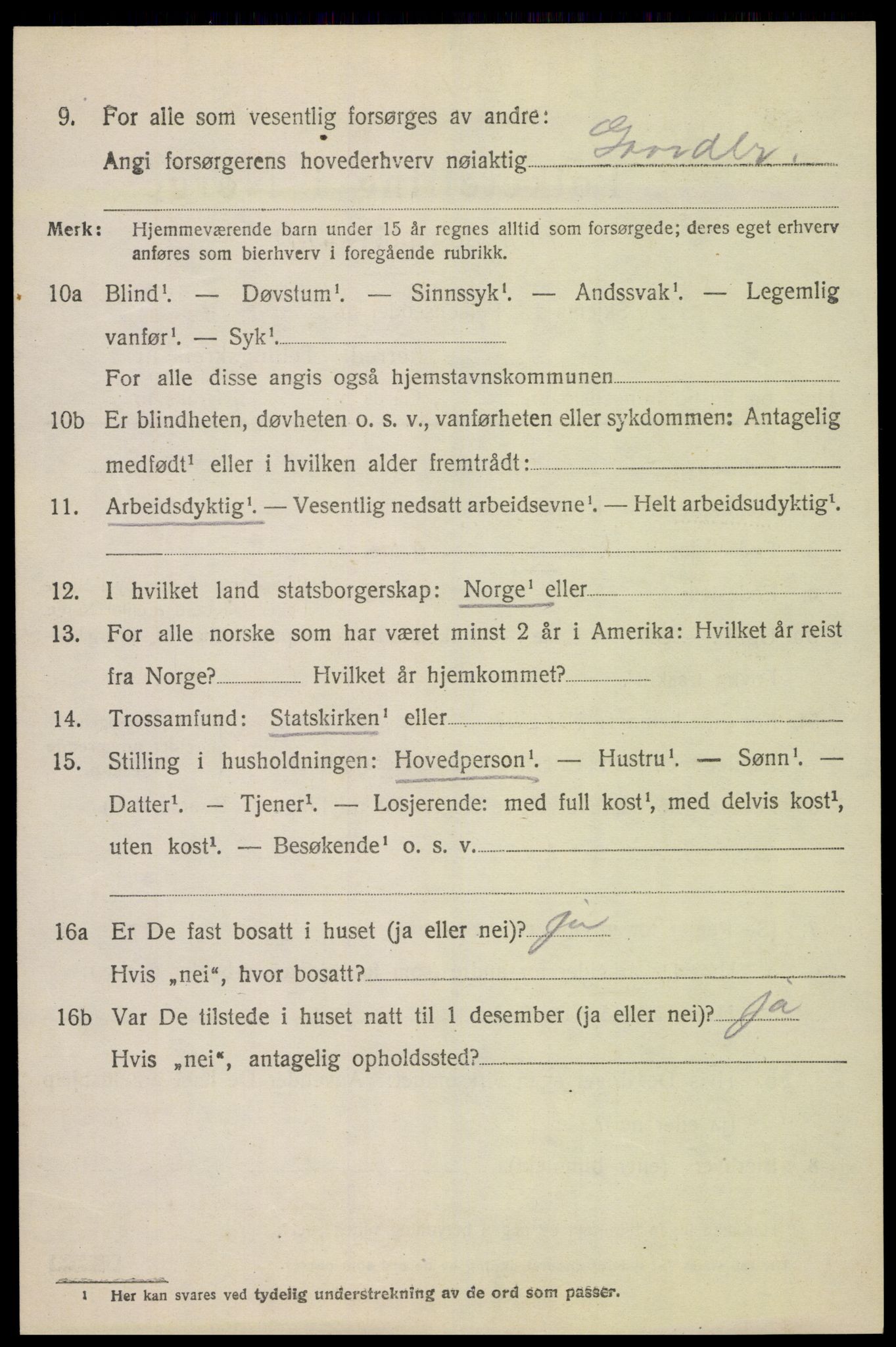 SAH, 1920 census for Dovre, 1920, p. 4537