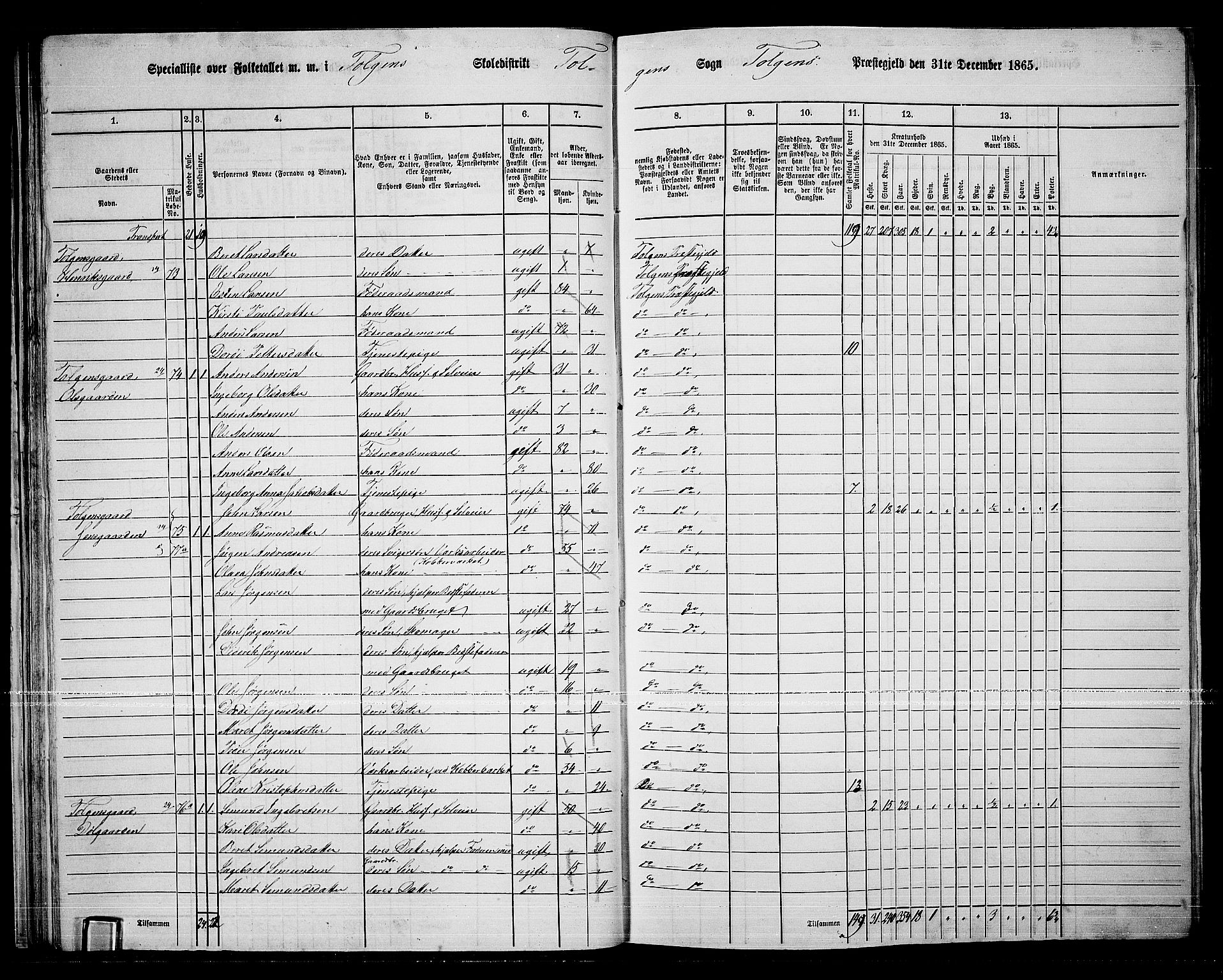 RA, 1865 census for Tolga, 1865, p. 41