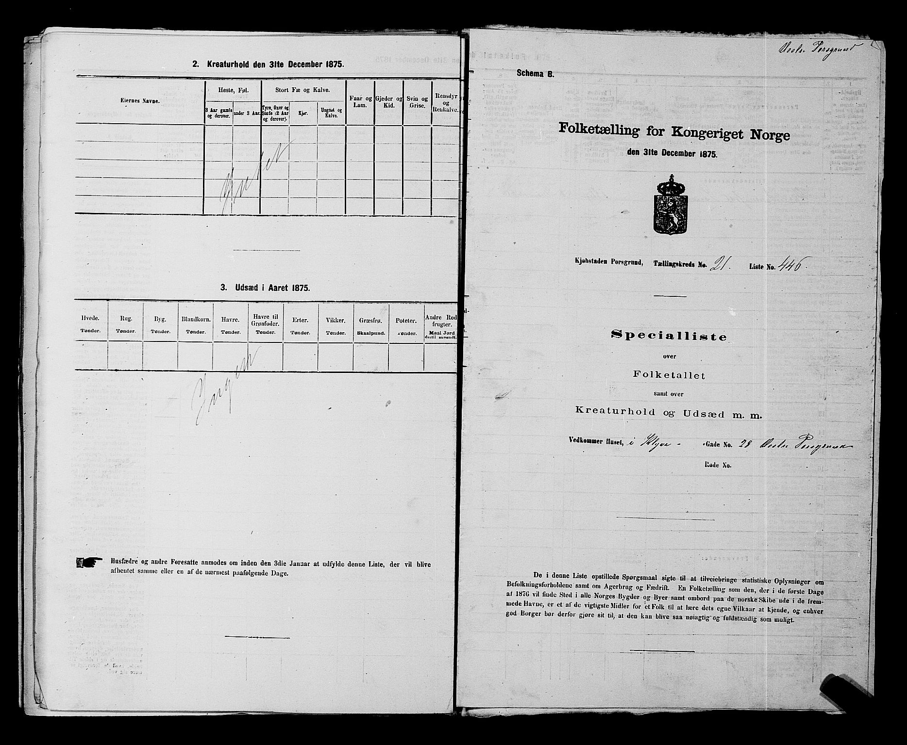 SAKO, 1875 census for 0805P Porsgrunn, 1875, p. 999