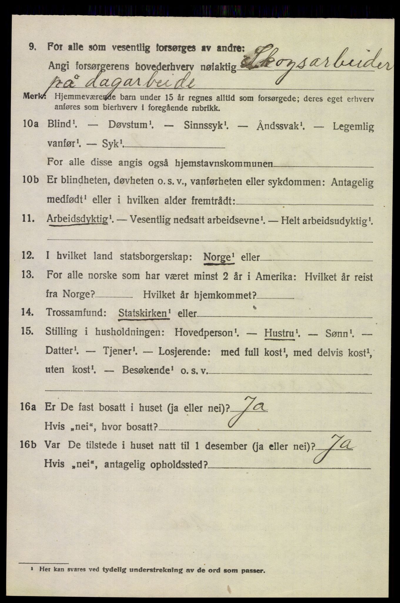 SAH, 1920 census for Tynset, 1920, p. 3953