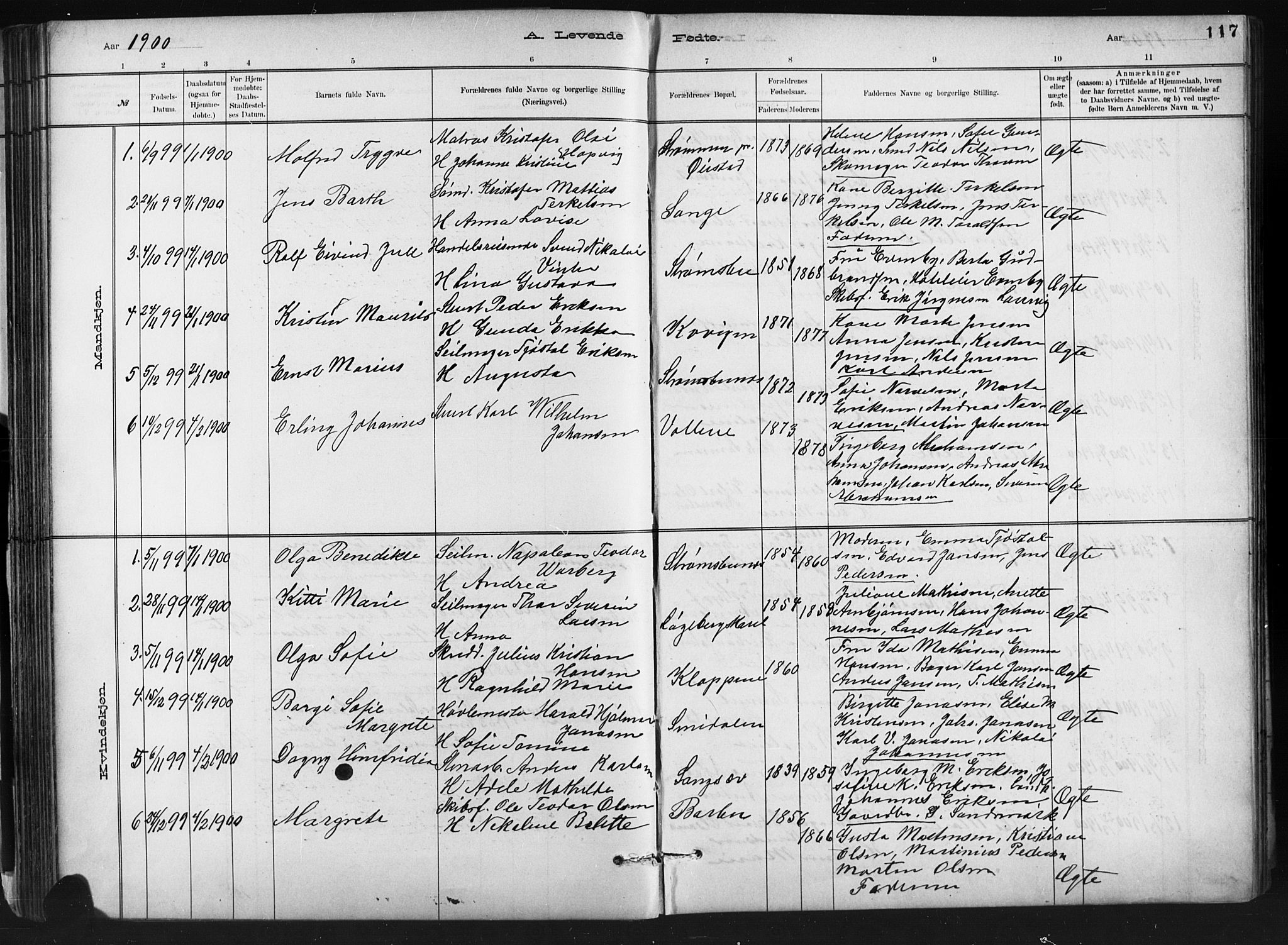 Barbu sokneprestkontor, SAK/1111-0003/F/Fb/L0002: Parish register (copy) no. B 2, 1890-1922, p. 117