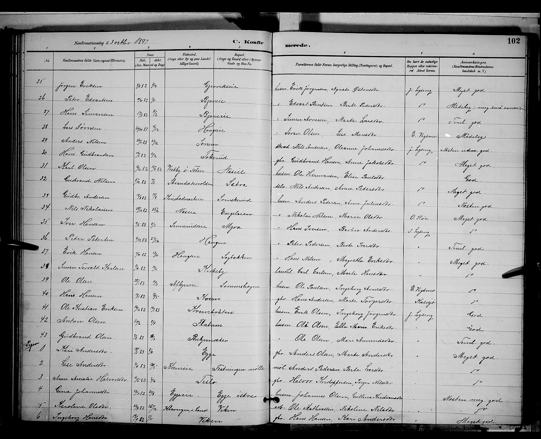 Gran prestekontor, SAH/PREST-112/H/Ha/Hab/L0004: Parish register (copy) no. 4, 1890-1899, p. 102