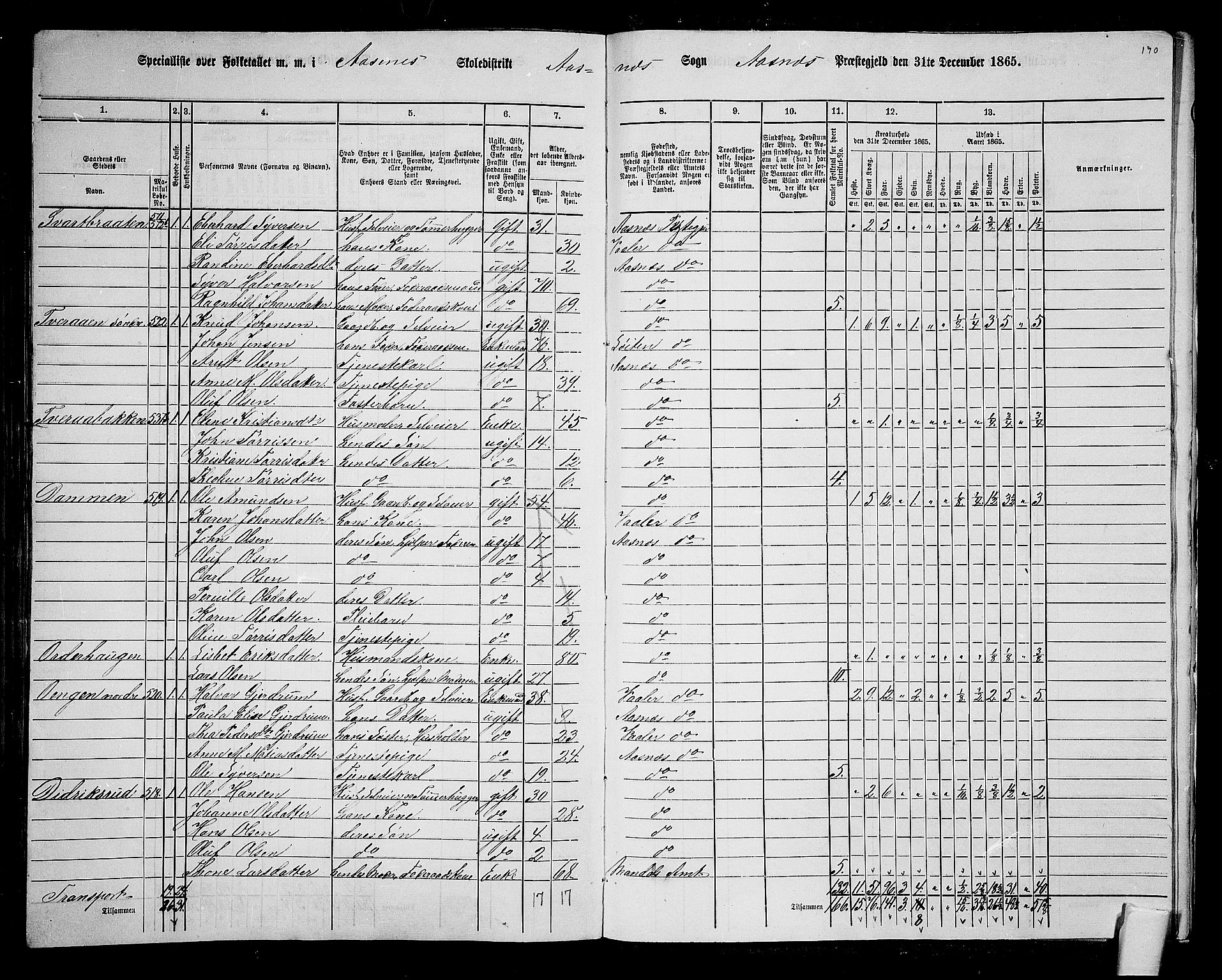 RA, 1865 census for Åsnes, 1865, p. 174