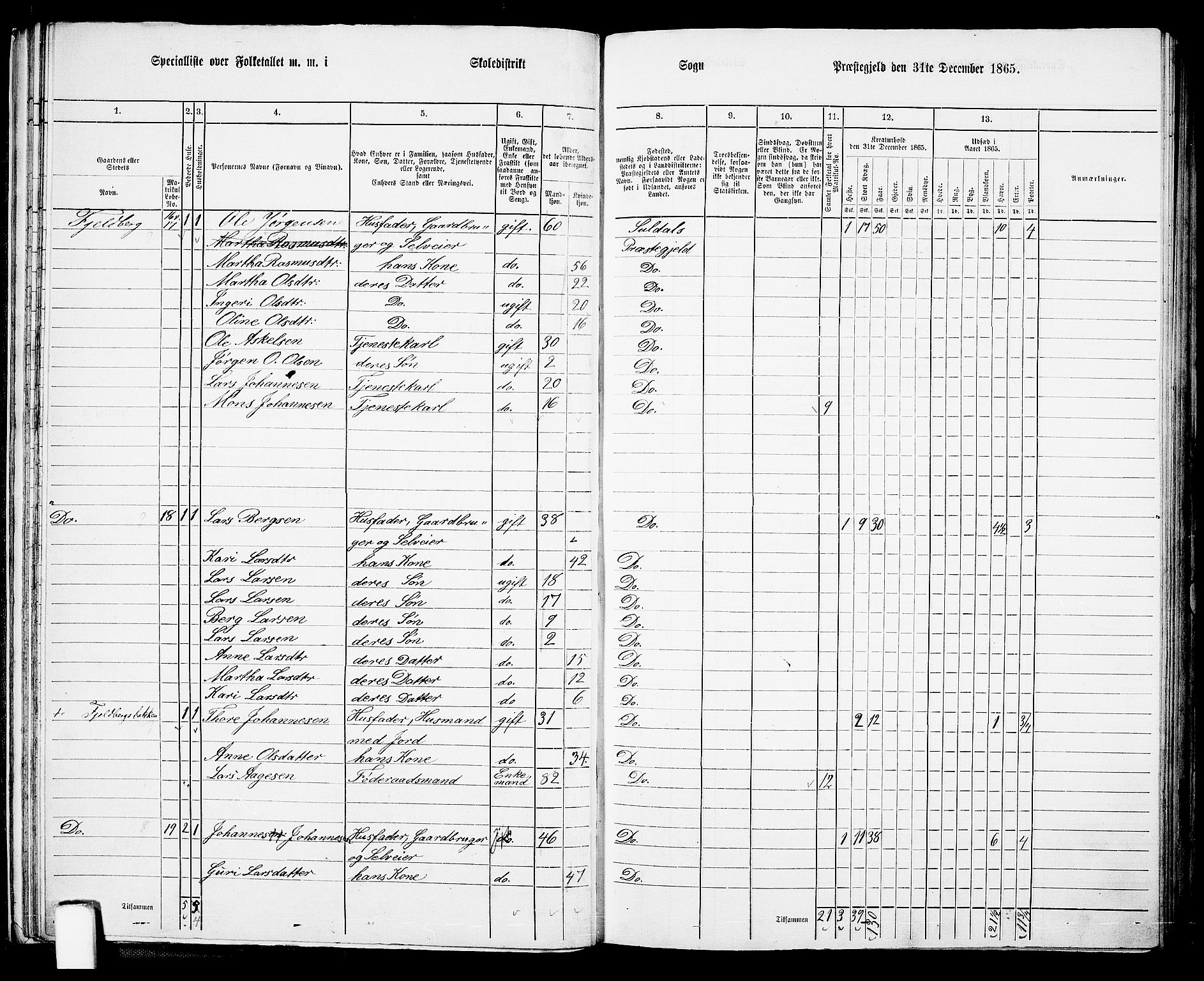 RA, 1865 census for Suldal, 1865, p. 30