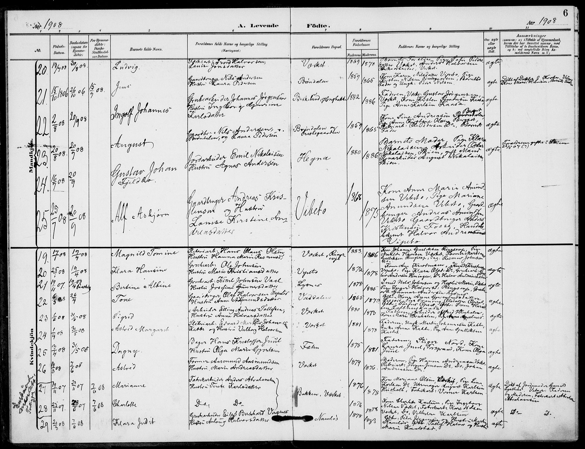 Holla kirkebøker, AV/SAKO-A-272/F/Fa/L0012: Parish register (official) no. 12, 1907-1923, p. 6