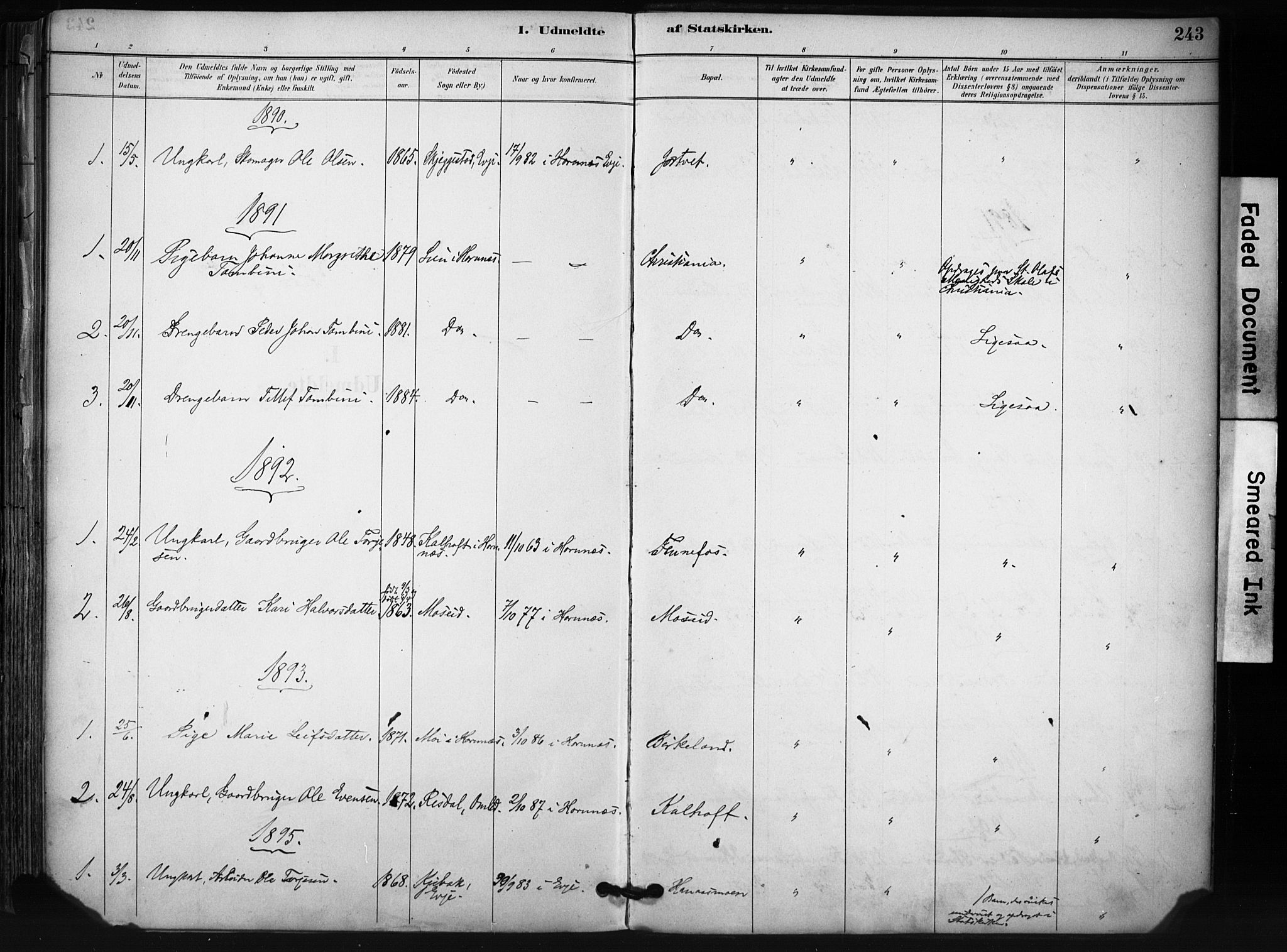 Evje sokneprestkontor, SAK/1111-0008/F/Fa/Fab/L0003: Parish register (official) no. A 3, 1884-1909, p. 243