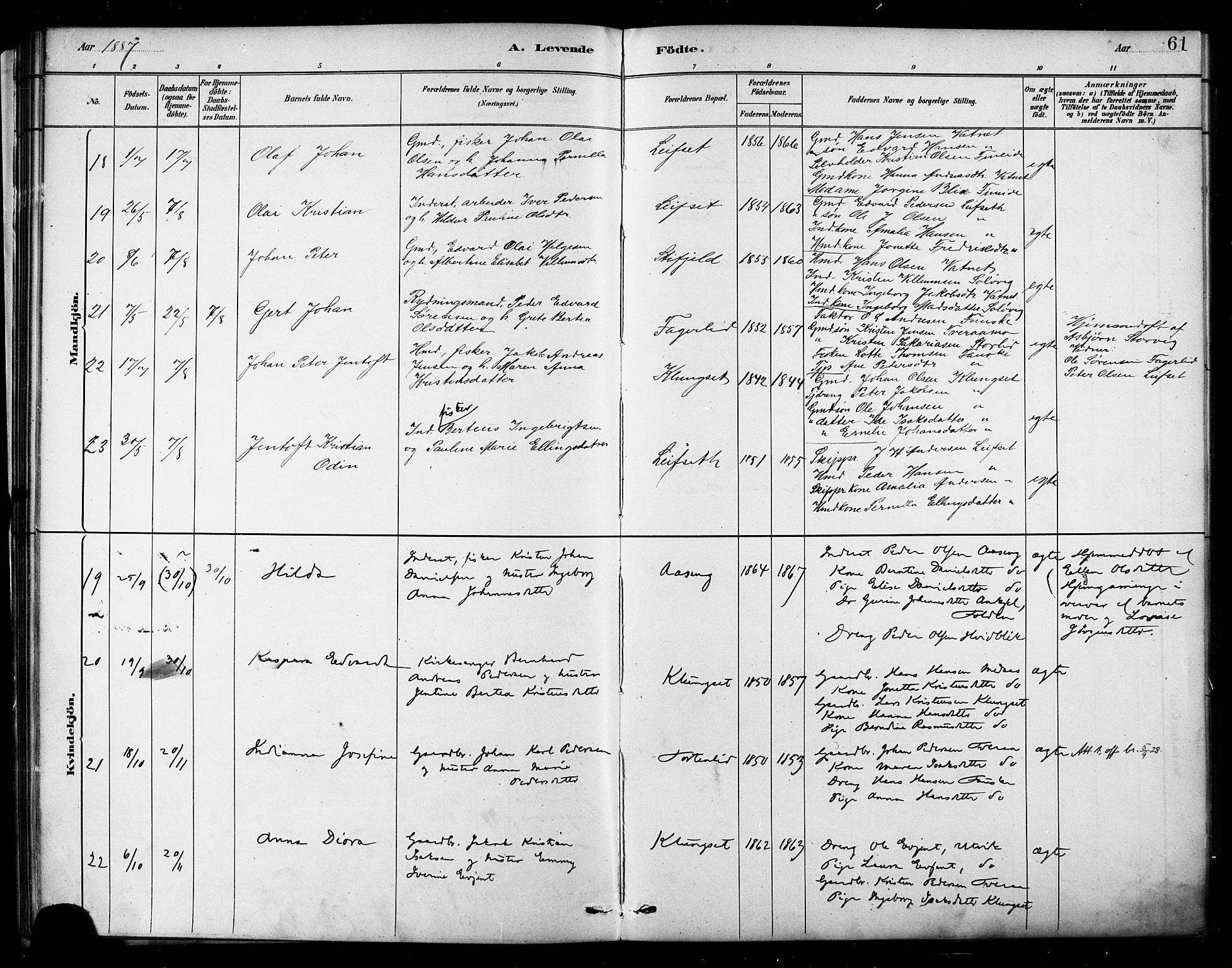 Ministerialprotokoller, klokkerbøker og fødselsregistre - Nordland, AV/SAT-A-1459/849/L0689: Parish register (official) no. 849A01, 1879-1889, p. 61