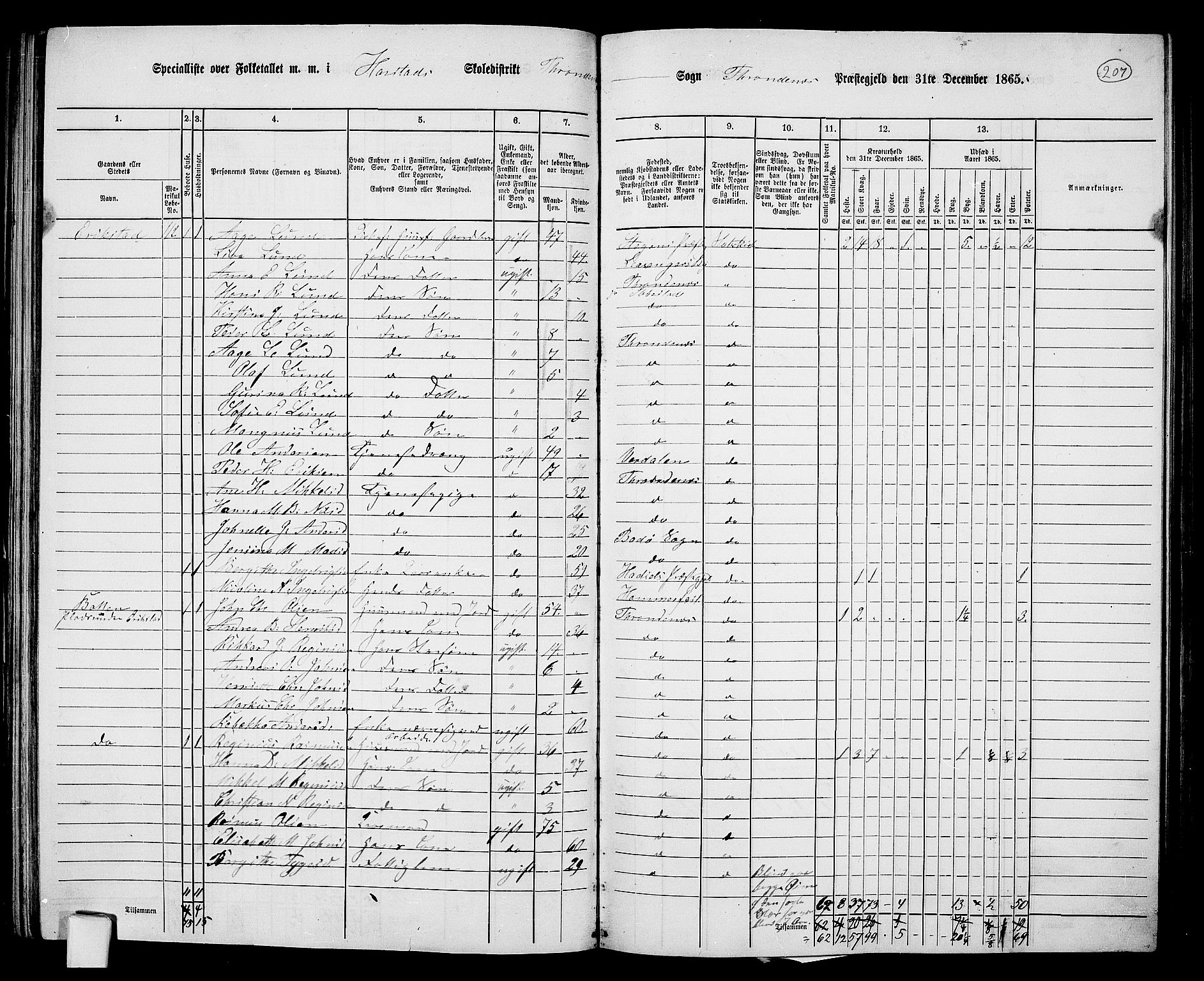 RA, 1865 census for Trondenes, 1865, p. 95