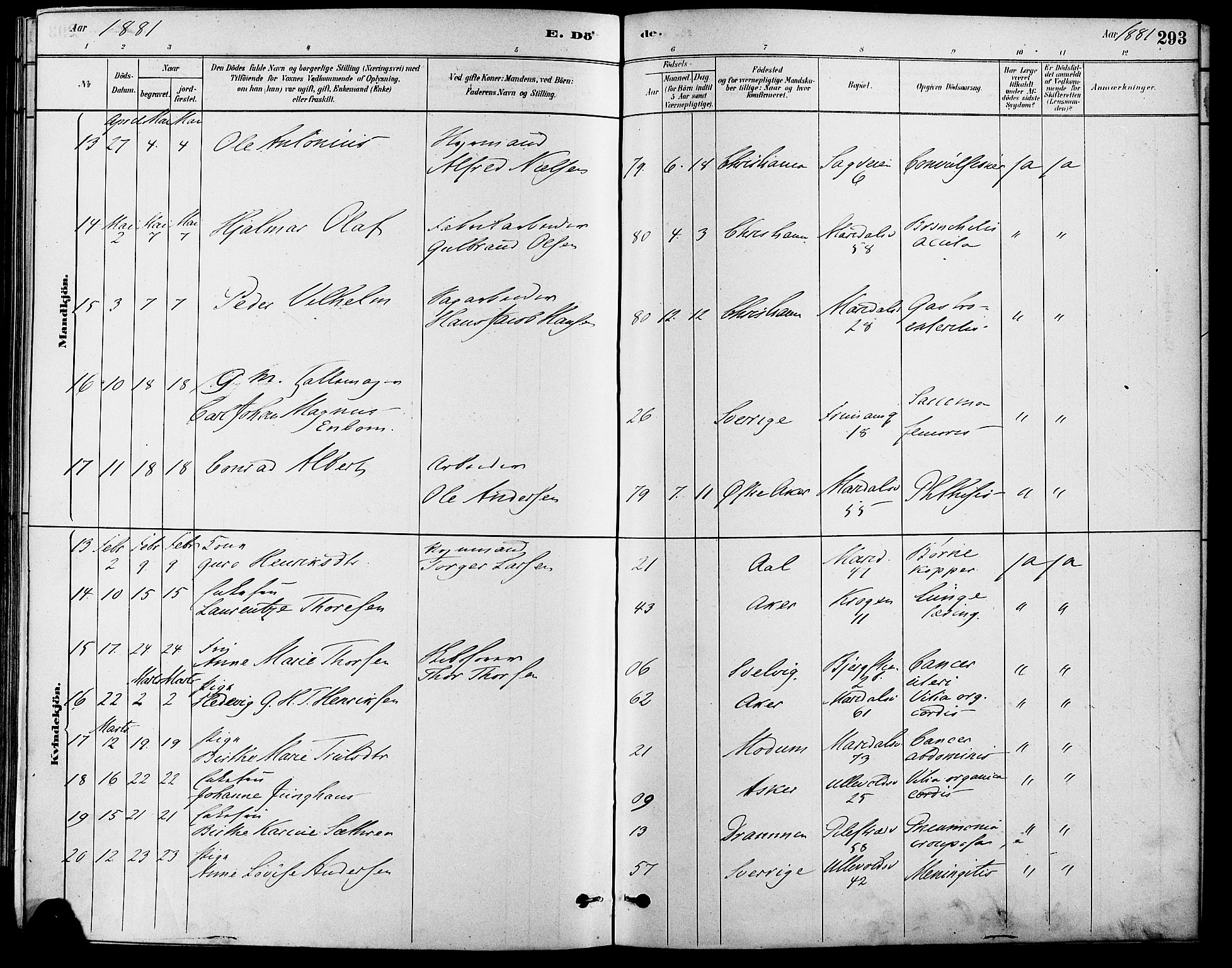 Gamle Aker prestekontor Kirkebøker, AV/SAO-A-10617a/F/L0006: Parish register (official) no. 6, 1880-1887, p. 293