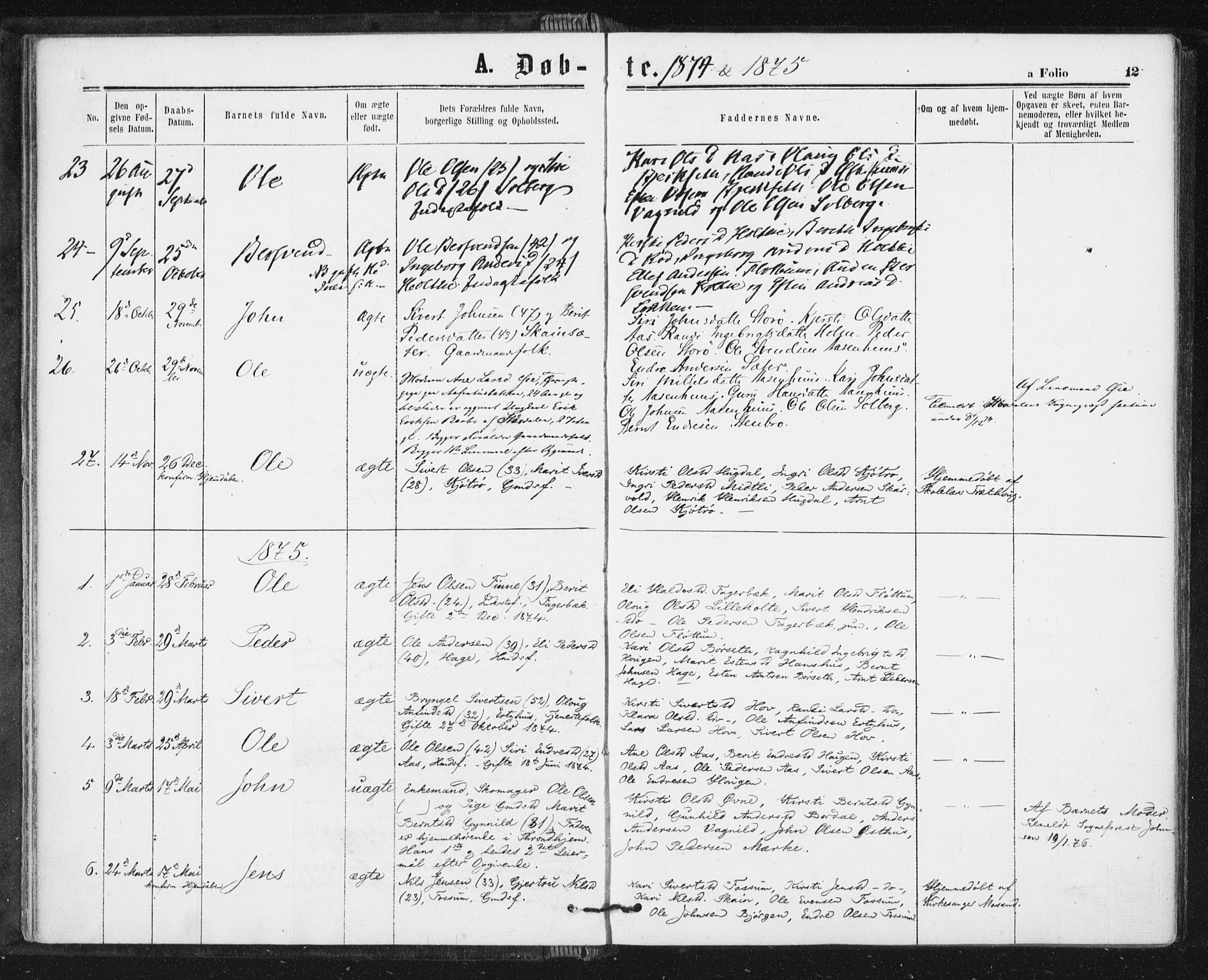 Ministerialprotokoller, klokkerbøker og fødselsregistre - Sør-Trøndelag, SAT/A-1456/689/L1039: Parish register (official) no. 689A04, 1865-1878, p. 12