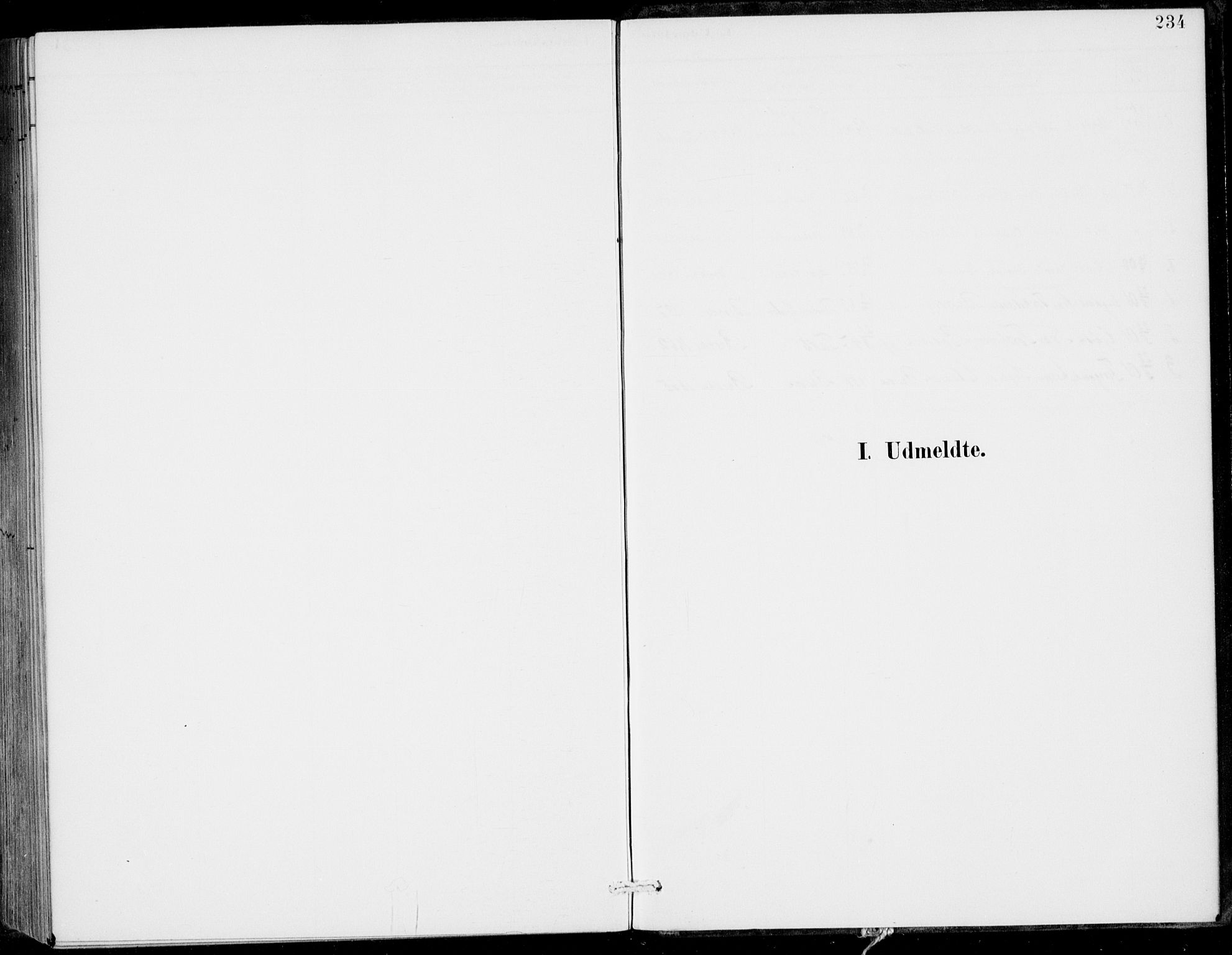 Gulen sokneprestembete, SAB/A-80201/H/Haa/Haac/L0002: Parish register (official) no. C  2, 1882-1914, p. 234