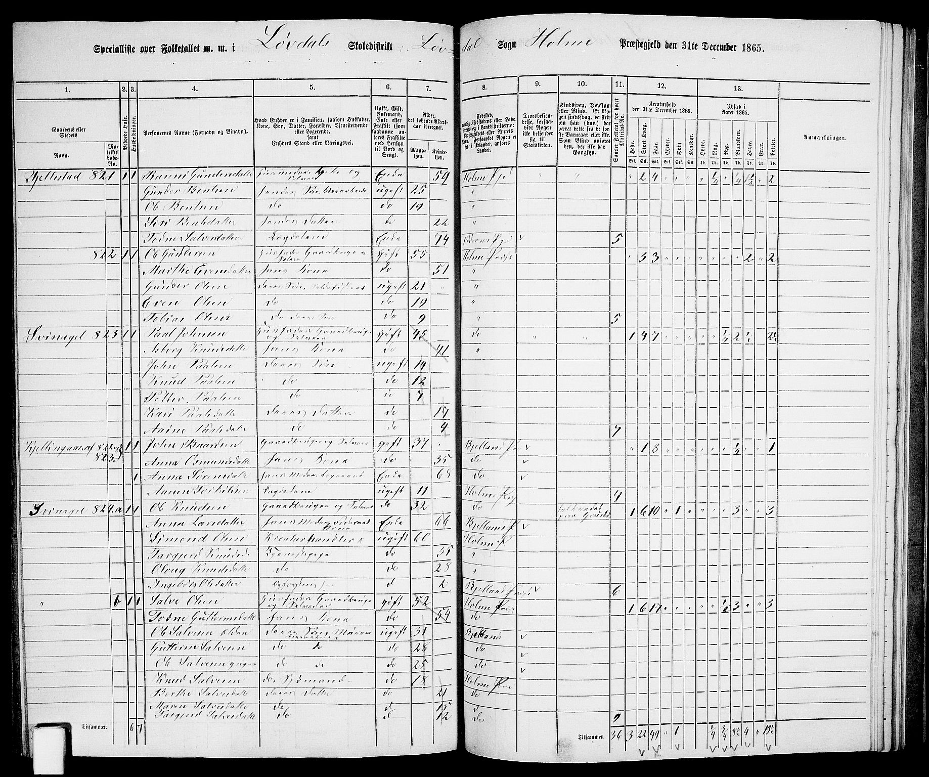 RA, 1865 census for Holum, 1865, p. 143