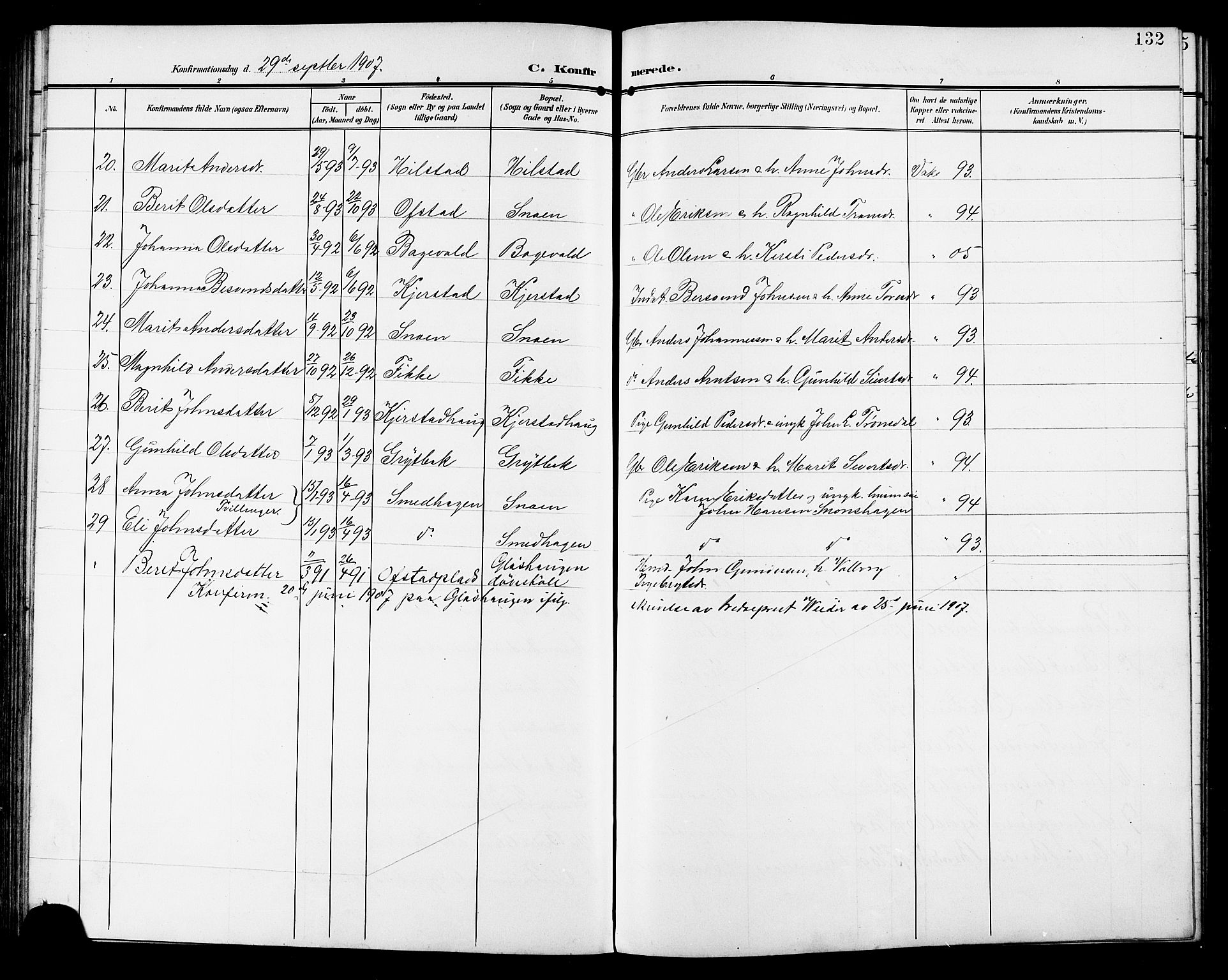 Ministerialprotokoller, klokkerbøker og fødselsregistre - Sør-Trøndelag, AV/SAT-A-1456/672/L0864: Parish register (copy) no. 672C03, 1902-1914, p. 132