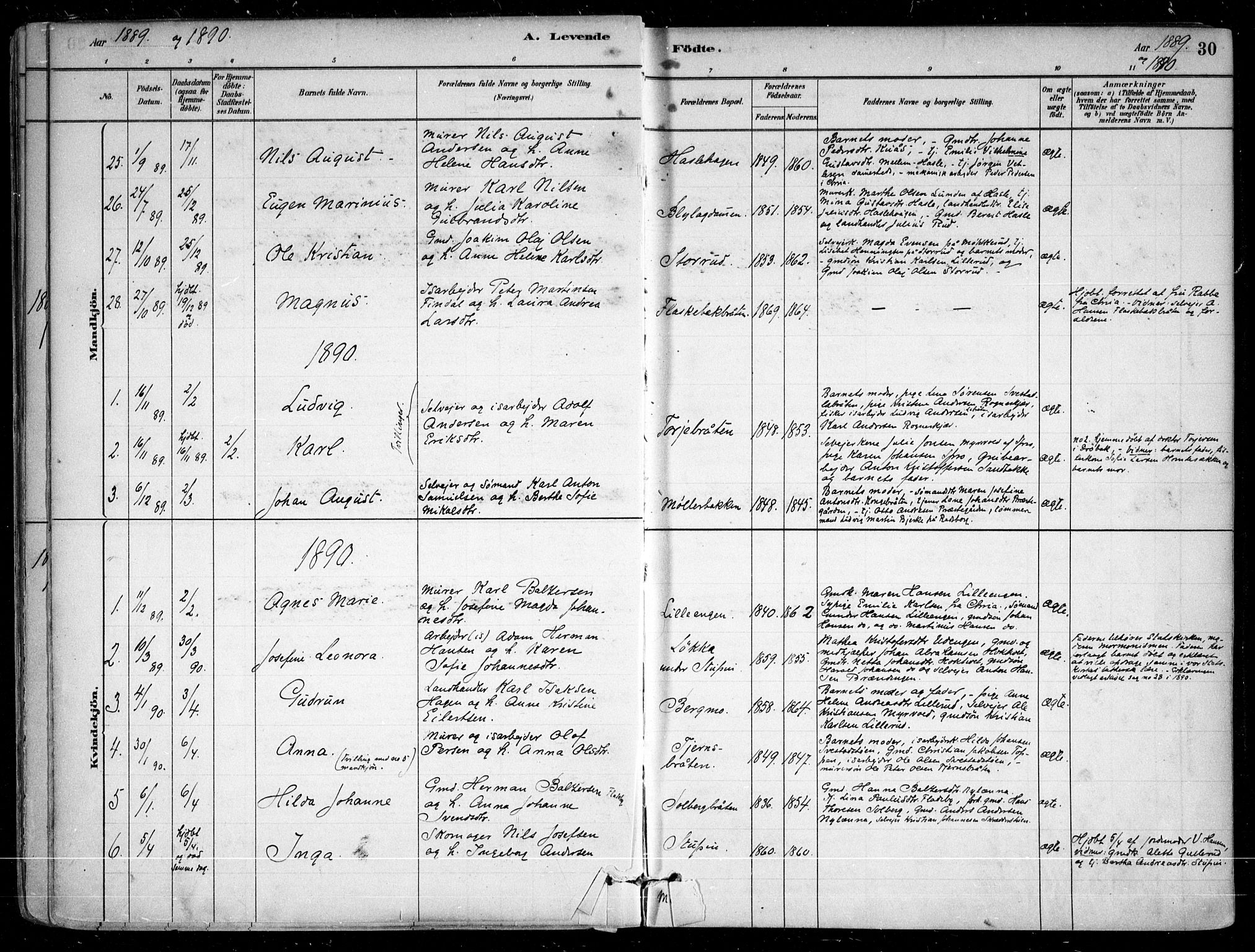 Nesodden prestekontor Kirkebøker, SAO/A-10013/F/Fa/L0009: Parish register (official) no. I 9, 1880-1915, p. 30