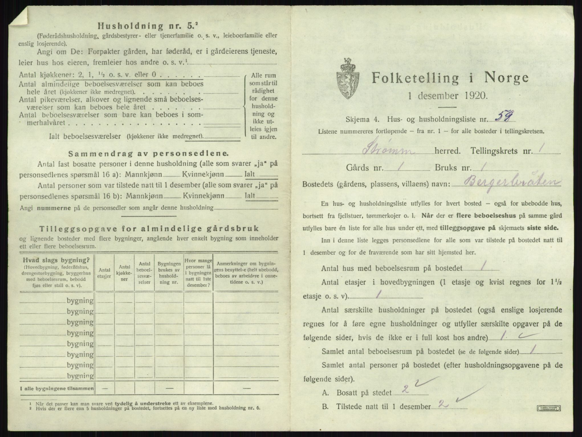 SAKO, 1920 census for Strømm, 1920, p. 136