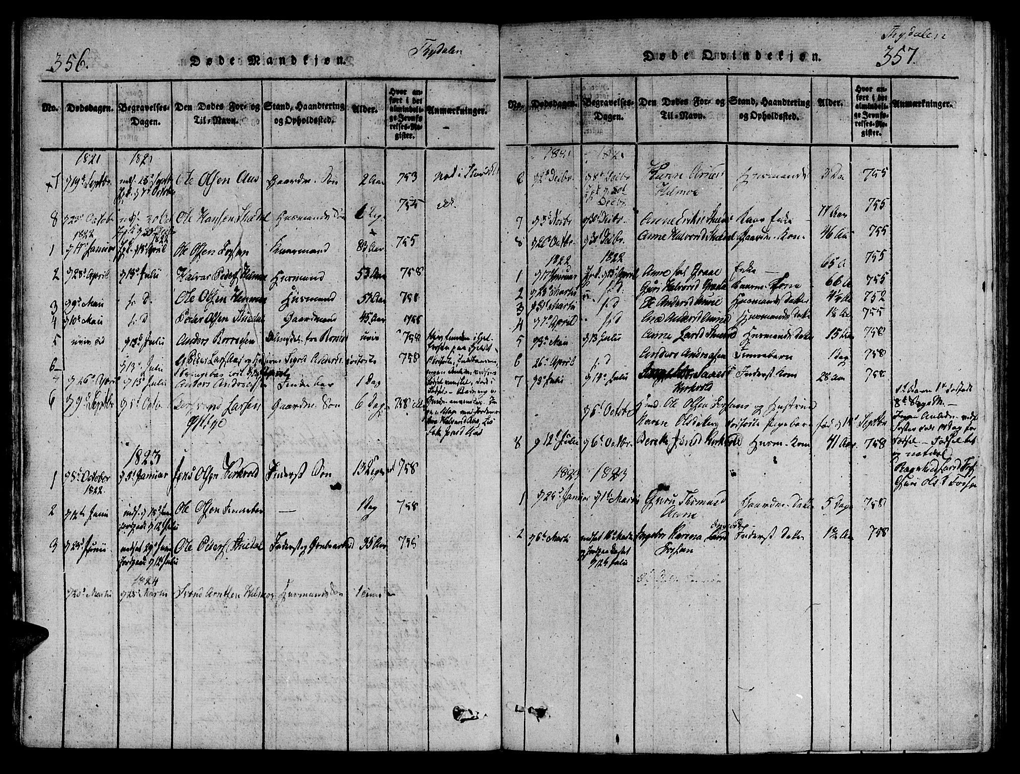Ministerialprotokoller, klokkerbøker og fødselsregistre - Sør-Trøndelag, SAT/A-1456/695/L1142: Parish register (official) no. 695A04 /2, 1816-1824, p. 356-357