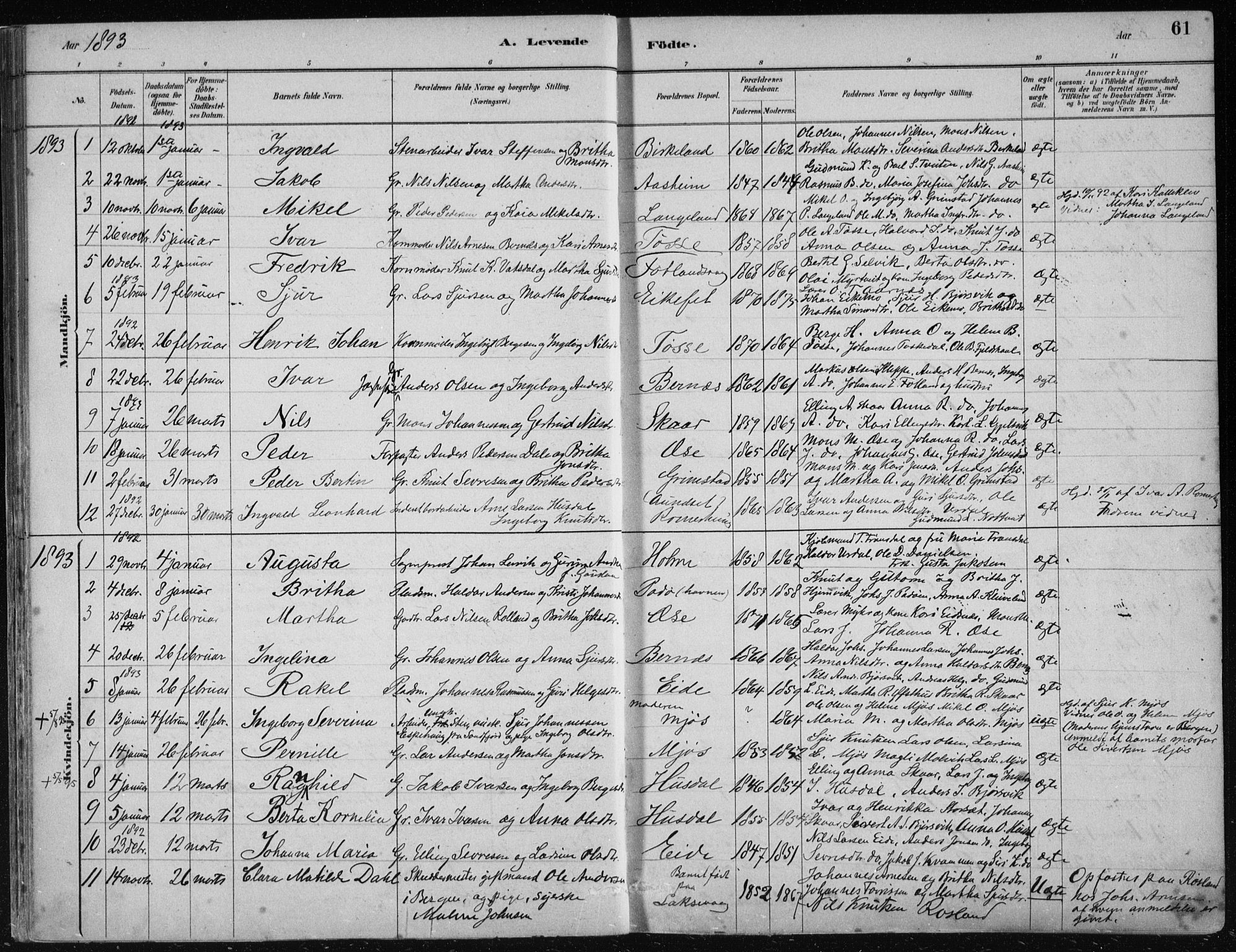 Hosanger sokneprestembete, AV/SAB-A-75801/H/Haa: Parish register (official) no. B  1, 1880-1896, p. 61