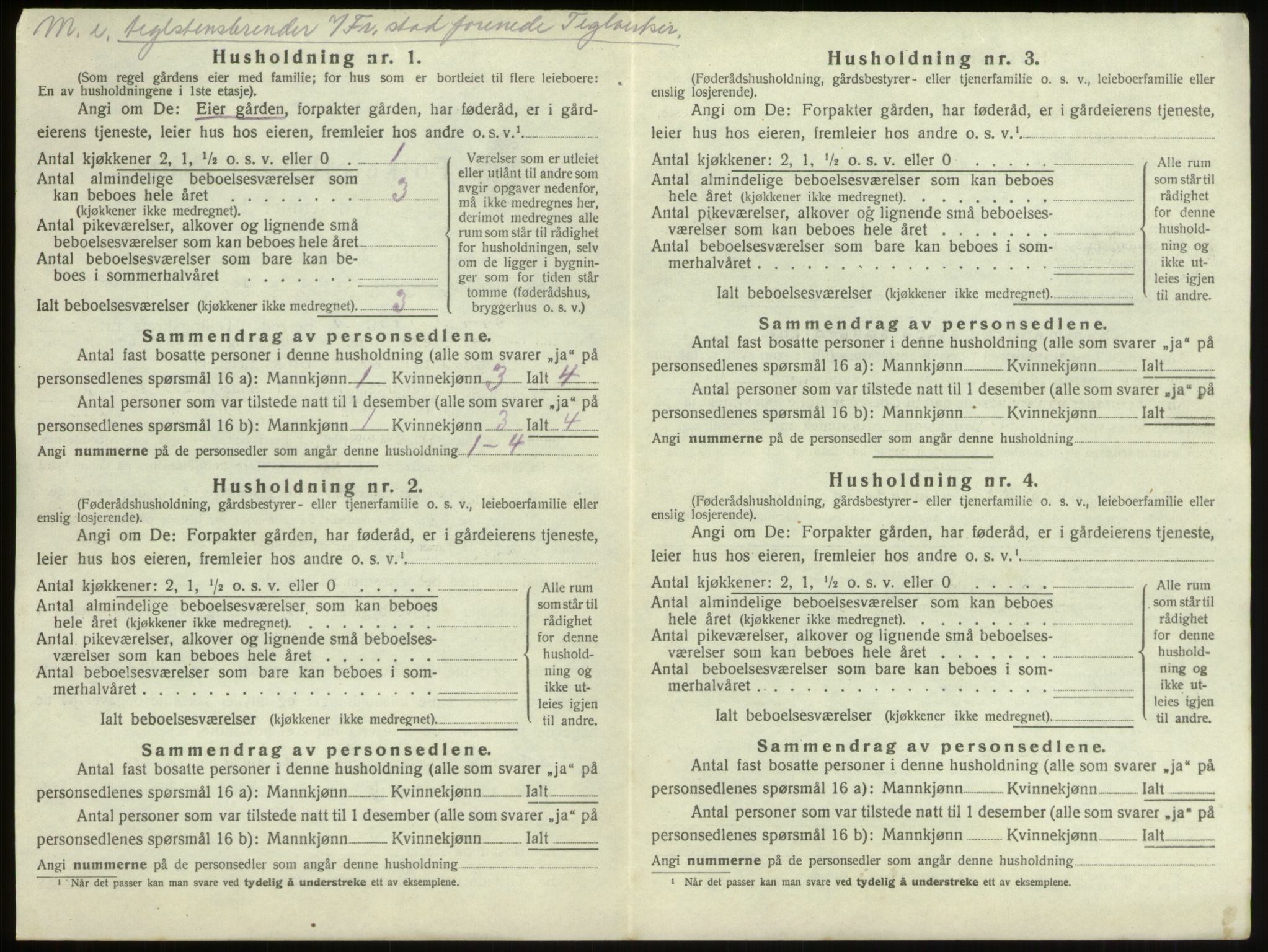 SAO, 1920 census for Borge, 1920, p. 228