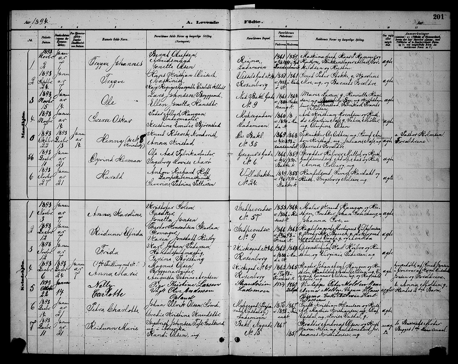Ministerialprotokoller, klokkerbøker og fødselsregistre - Sør-Trøndelag, SAT/A-1456/604/L0222: Parish register (copy) no. 604C05, 1886-1895, p. 201