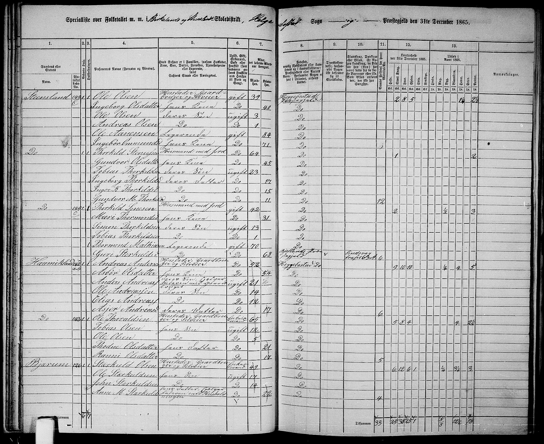 RA, 1865 census for Hægebostad, 1865, p. 37