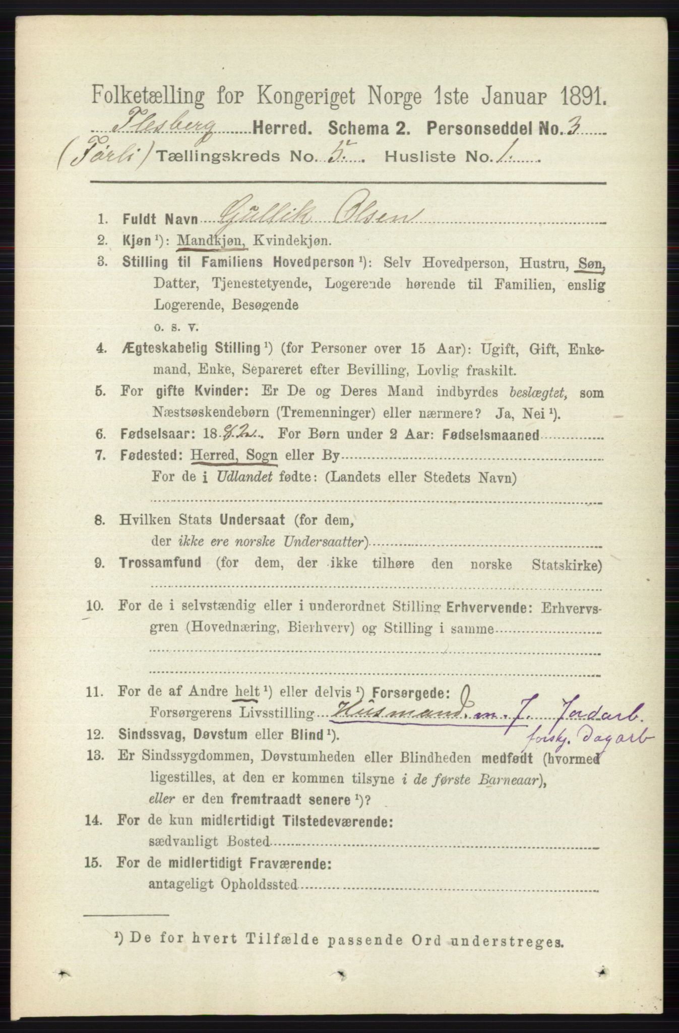 RA, 1891 census for 0631 Flesberg, 1891, p. 724