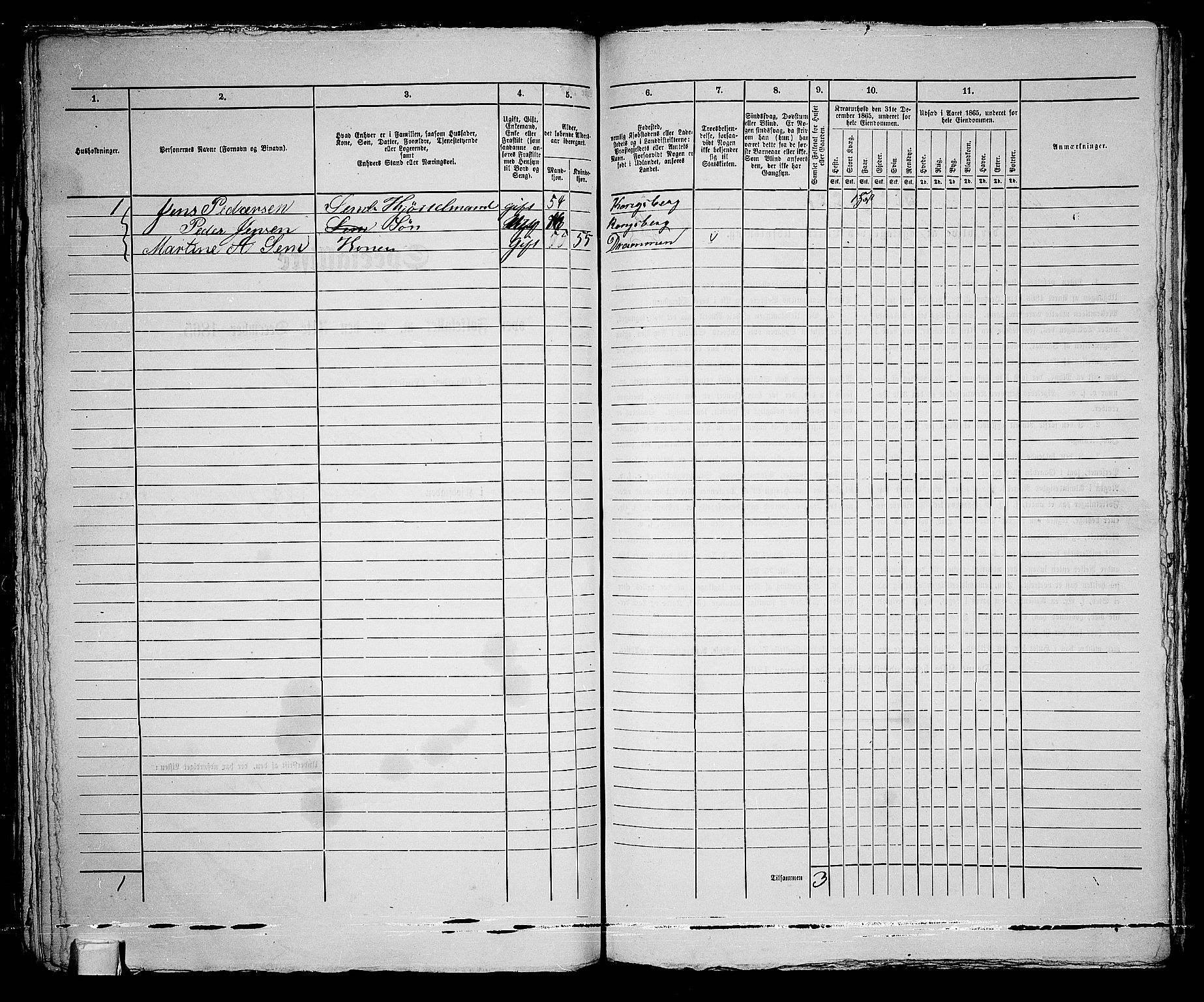 RA, 1865 census for Kongsberg/Kongsberg, 1865, p. 213