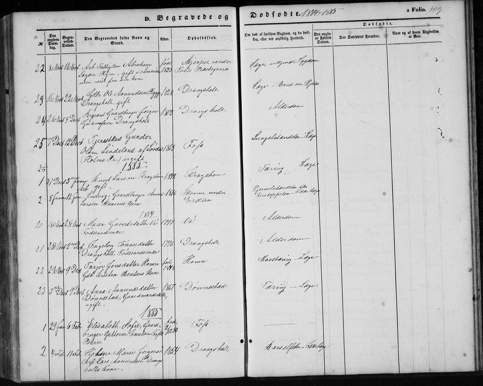 Tveit sokneprestkontor, AV/SAK-1111-0043/F/Fb/L0003: Parish register (copy) no. B 3, 1854-1886, p. 409