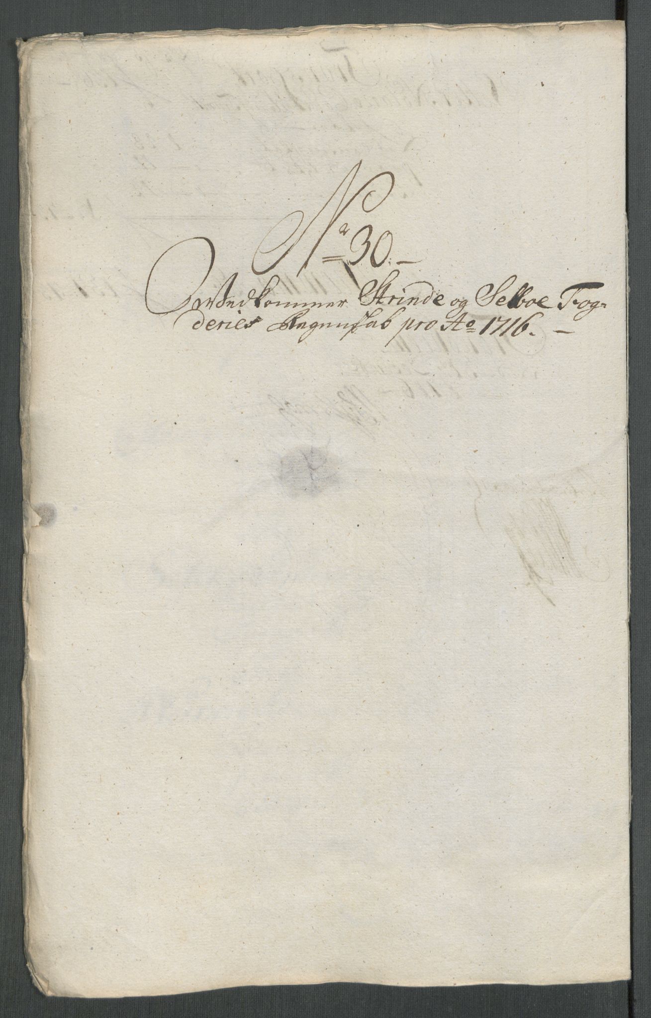 Rentekammeret inntil 1814, Reviderte regnskaper, Fogderegnskap, AV/RA-EA-4092/R61/L4115: Fogderegnskap Strinda og Selbu, 1715-1716, p. 462