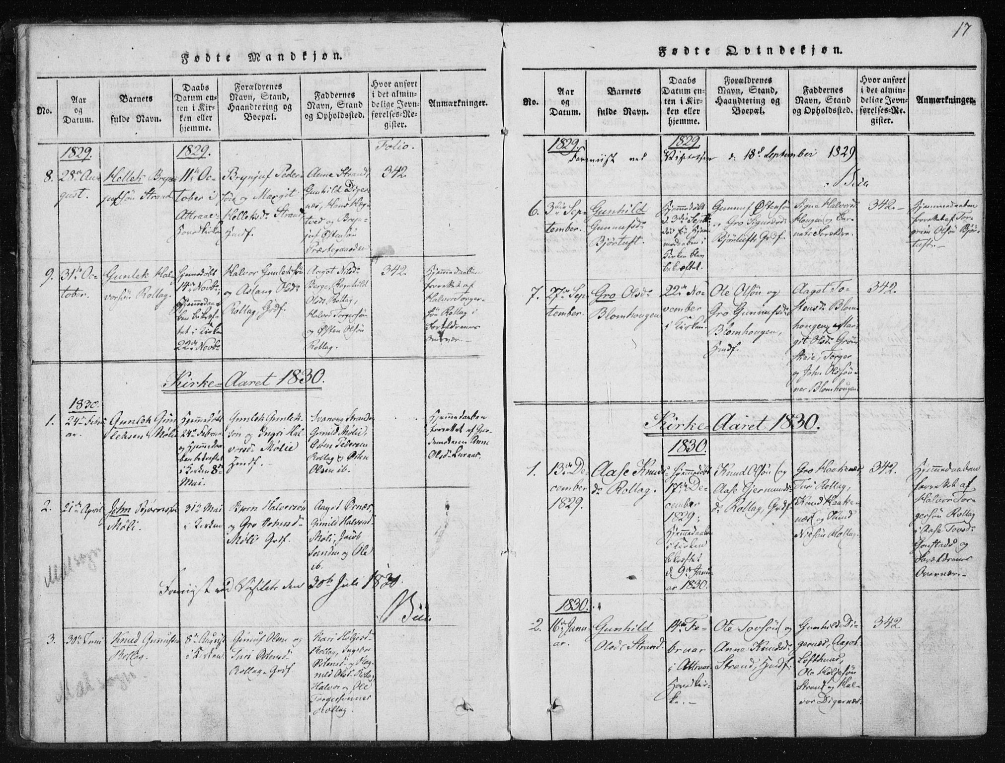 Tinn kirkebøker, SAKO/A-308/F/Fb/L0001: Parish register (official) no. II 1, 1815-1843, p. 17