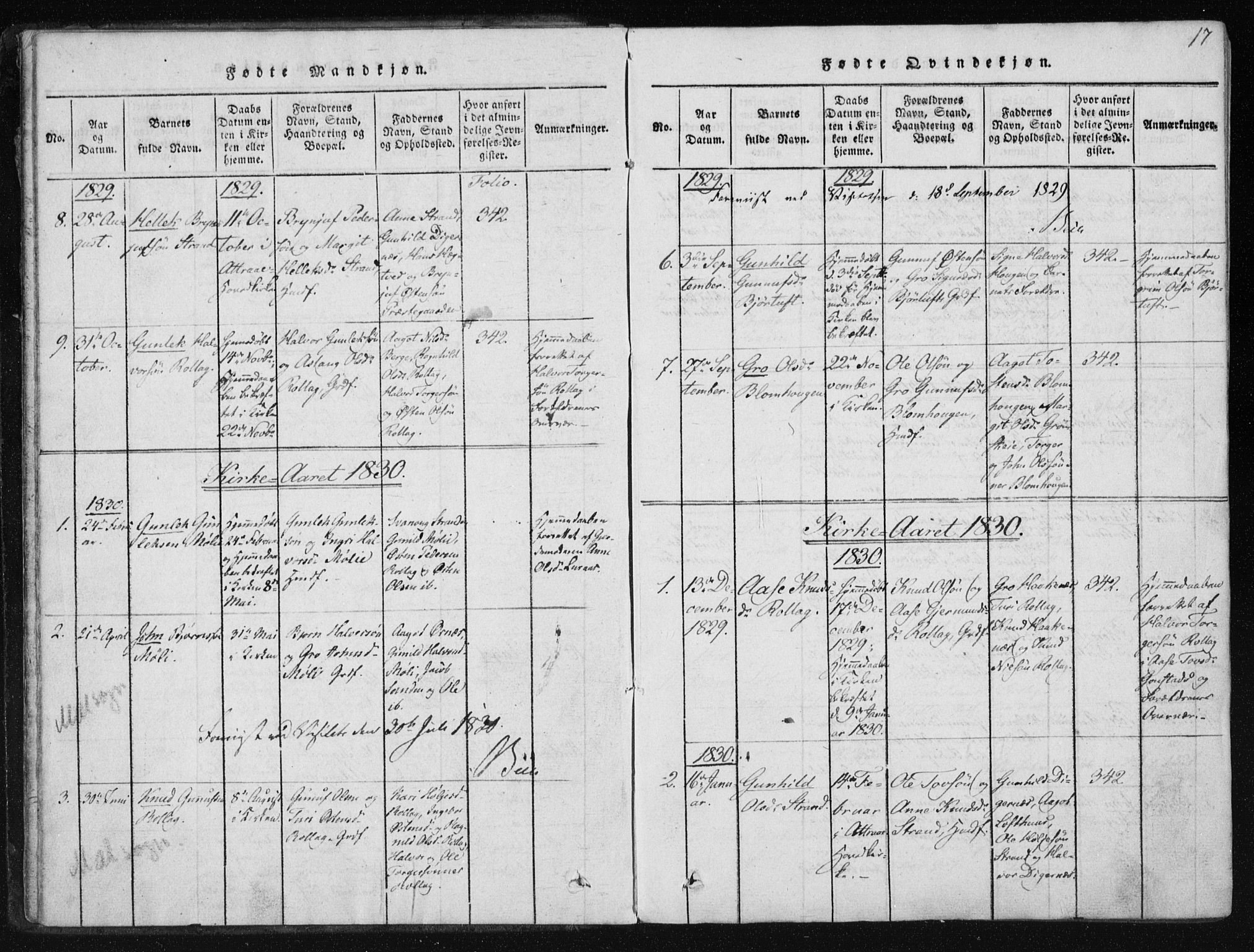 Tinn kirkebøker, AV/SAKO-A-308/F/Fb/L0001: Parish register (official) no. II 1, 1815-1843, p. 17