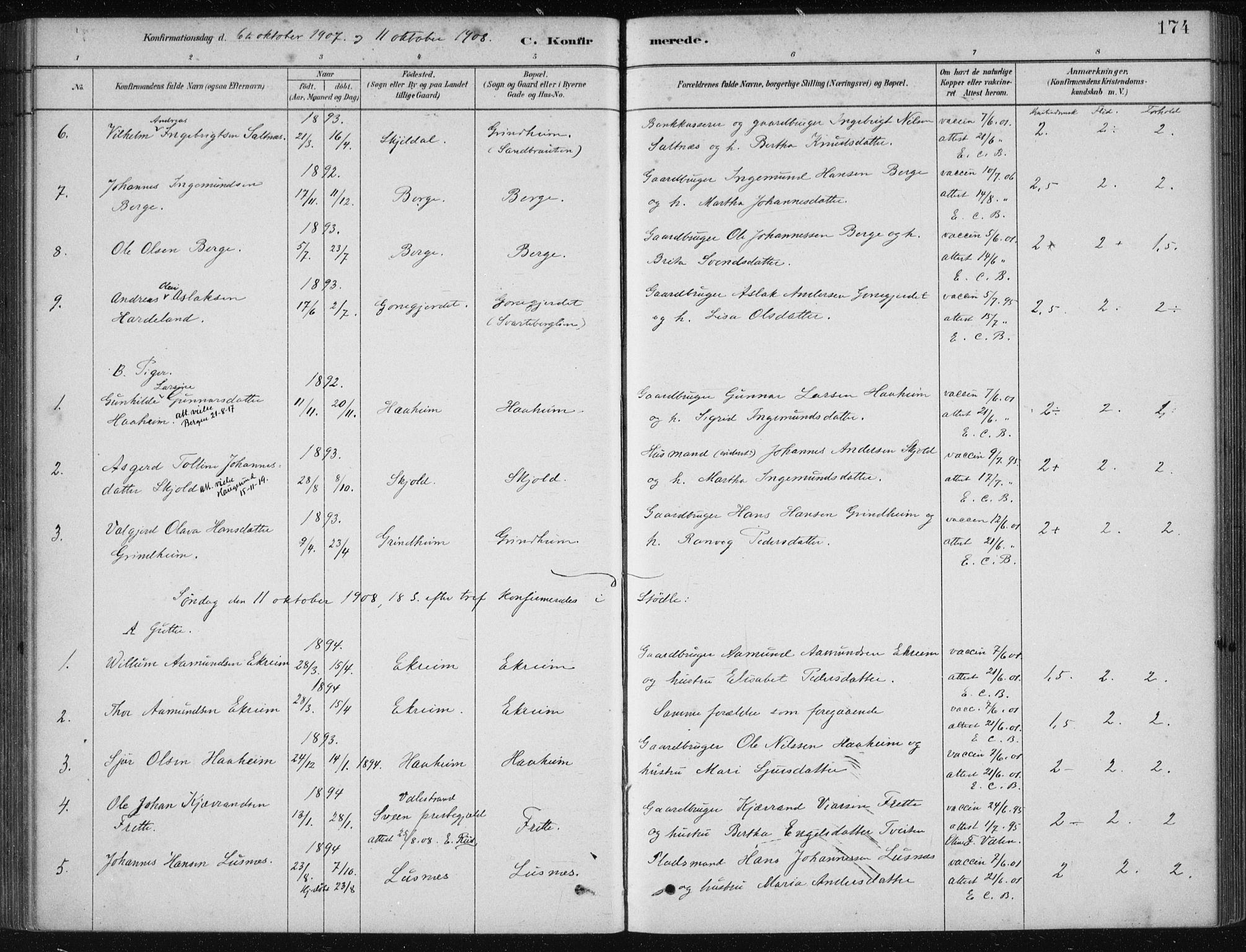 Etne sokneprestembete, SAB/A-75001/H/Haa: Parish register (official) no. D  1, 1879-1919, p. 174