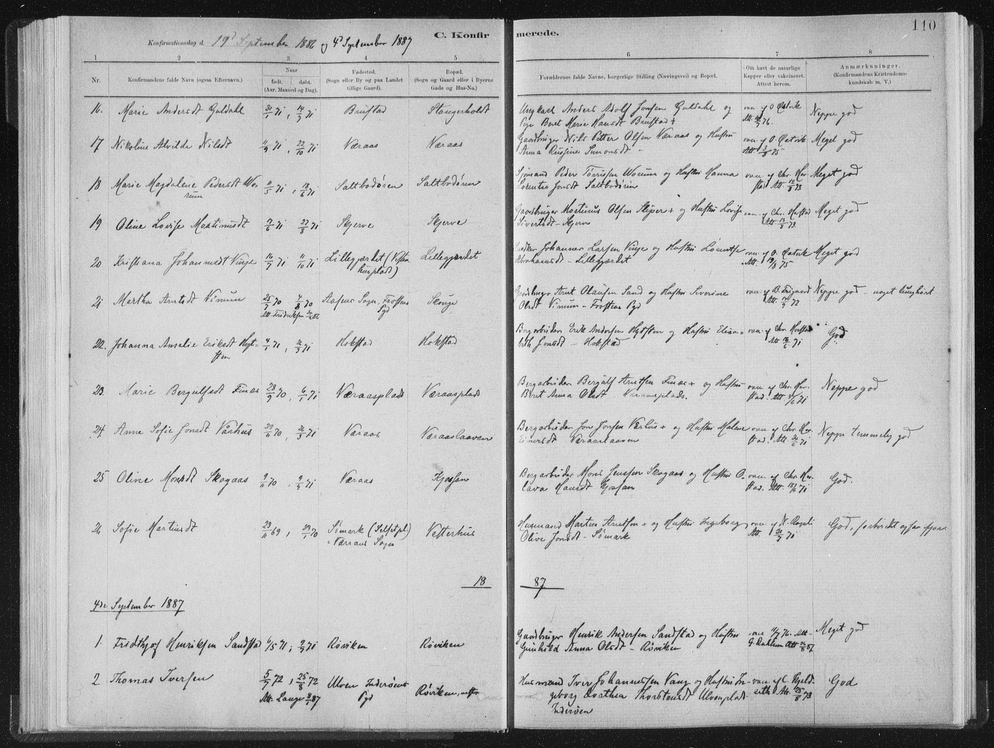 Ministerialprotokoller, klokkerbøker og fødselsregistre - Nord-Trøndelag, SAT/A-1458/722/L0220: Parish register (official) no. 722A07, 1881-1908, p. 110