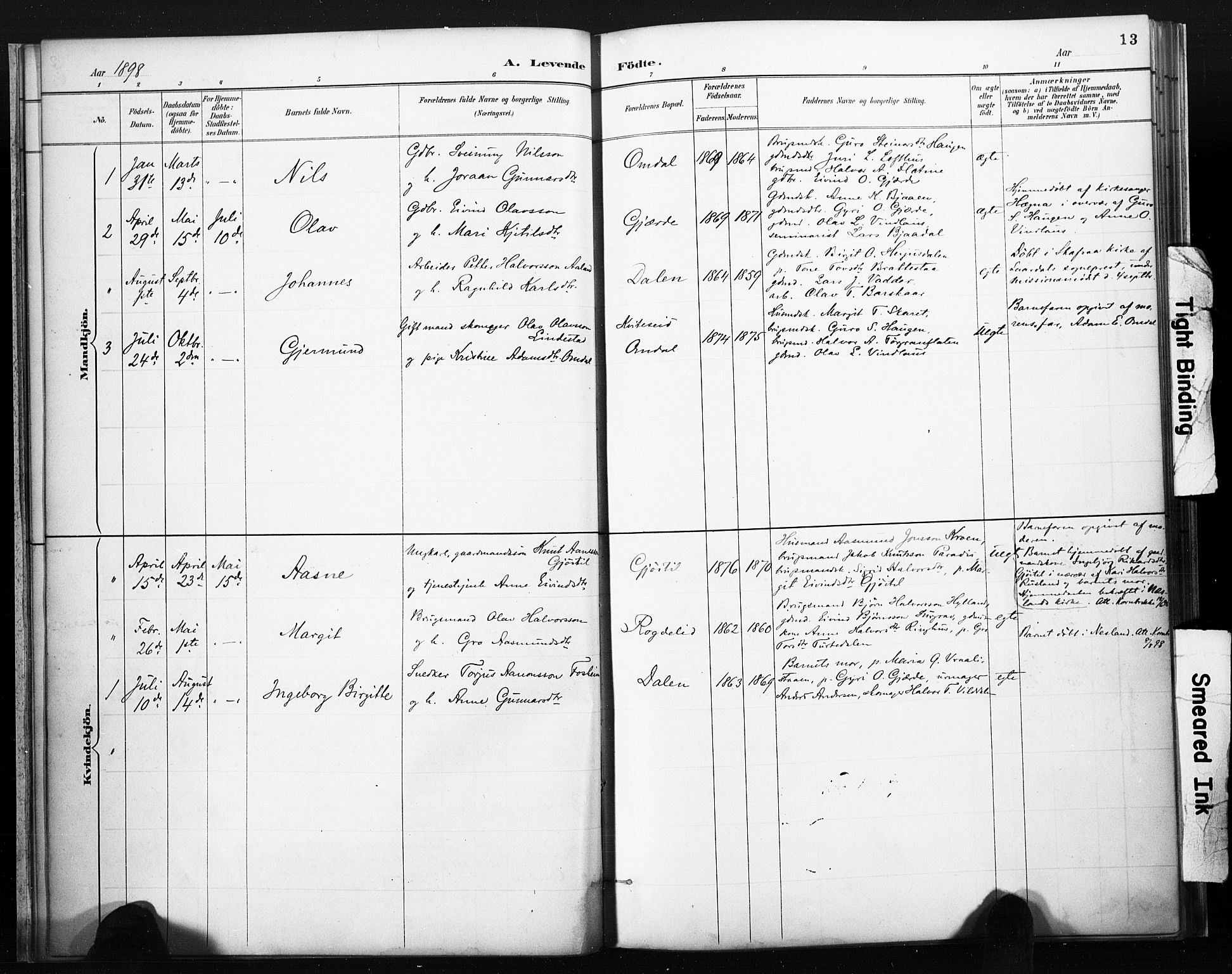 Lårdal kirkebøker, AV/SAKO-A-284/F/Fb/L0002: Parish register (official) no. II 2, 1887-1918, p. 13