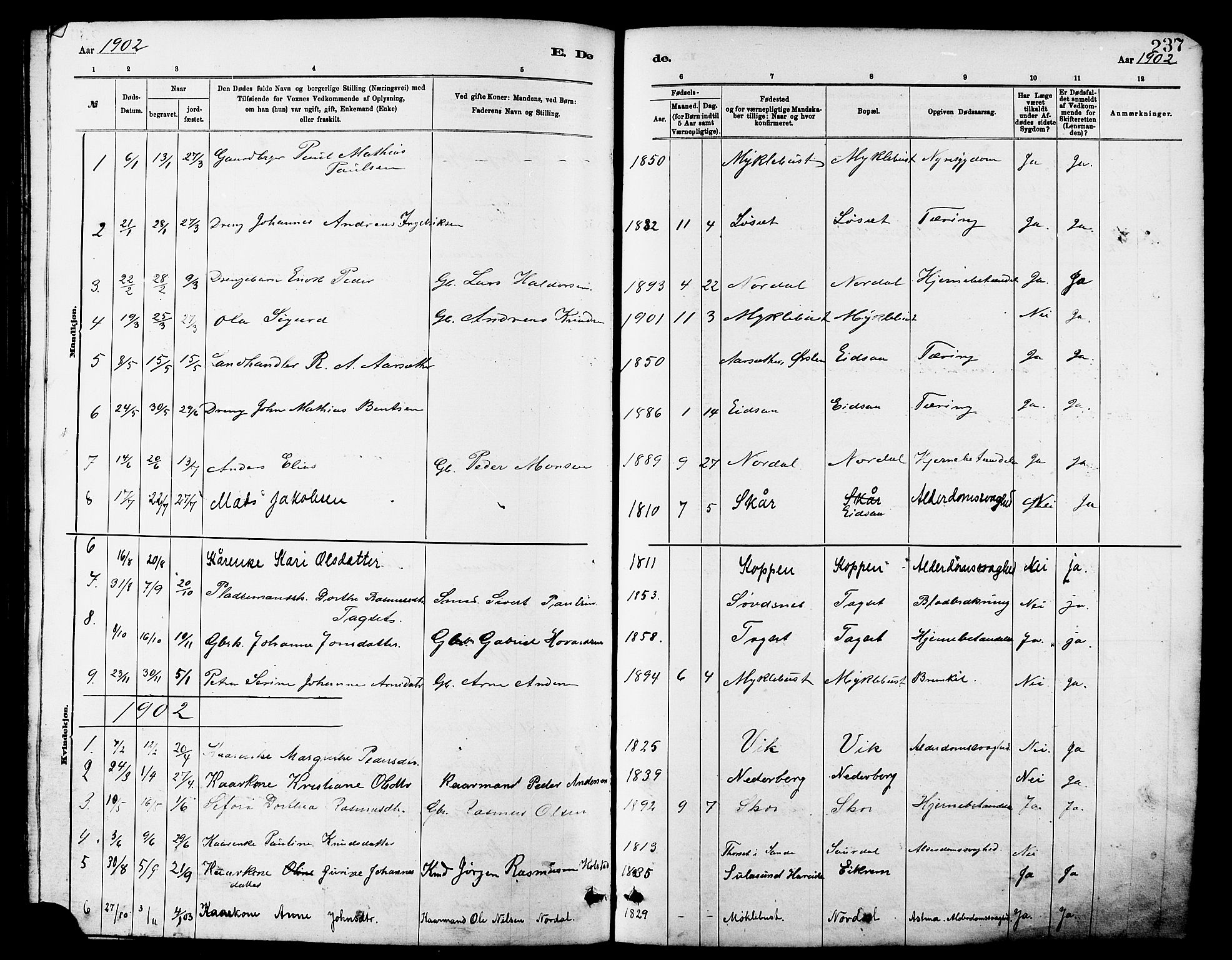 Ministerialprotokoller, klokkerbøker og fødselsregistre - Møre og Romsdal, AV/SAT-A-1454/502/L0027: Parish register (copy) no. 502C01, 1878-1908, p. 237