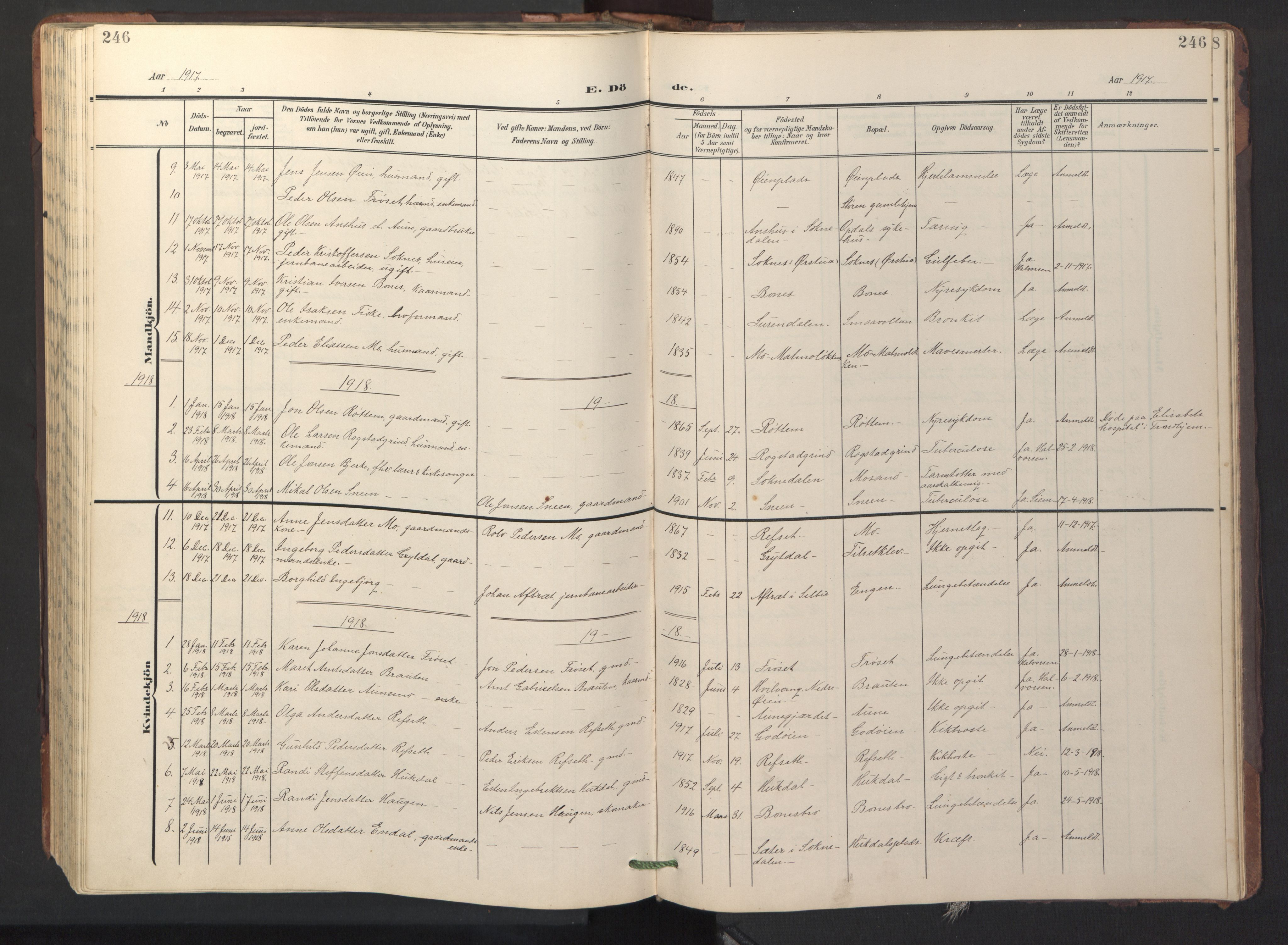 Ministerialprotokoller, klokkerbøker og fødselsregistre - Sør-Trøndelag, SAT/A-1456/687/L1019: Parish register (copy) no. 687C03, 1904-1931, p. 246