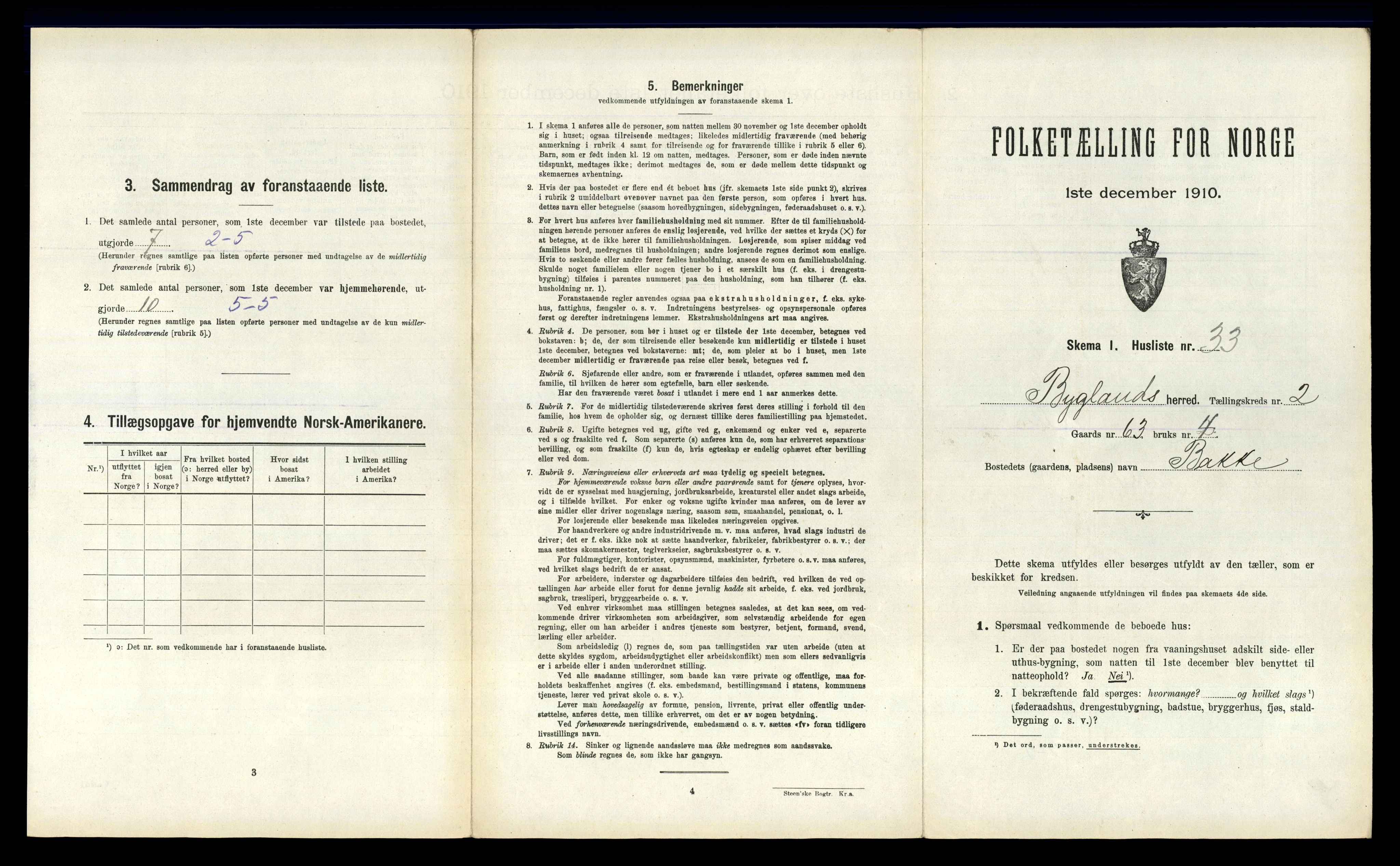 RA, 1910 census for Bygland, 1910, p. 205