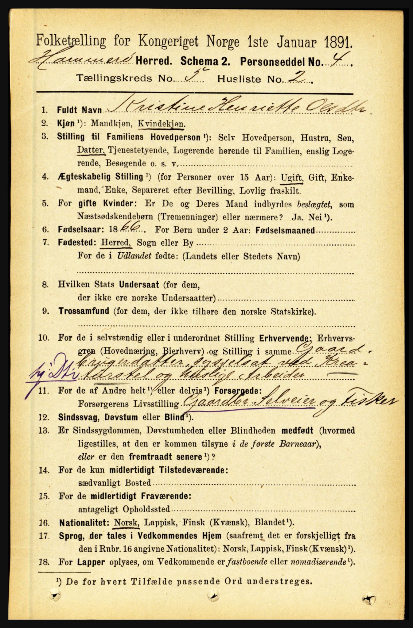 RA, 1891 census for 1849 Hamarøy, 1891, p. 2493