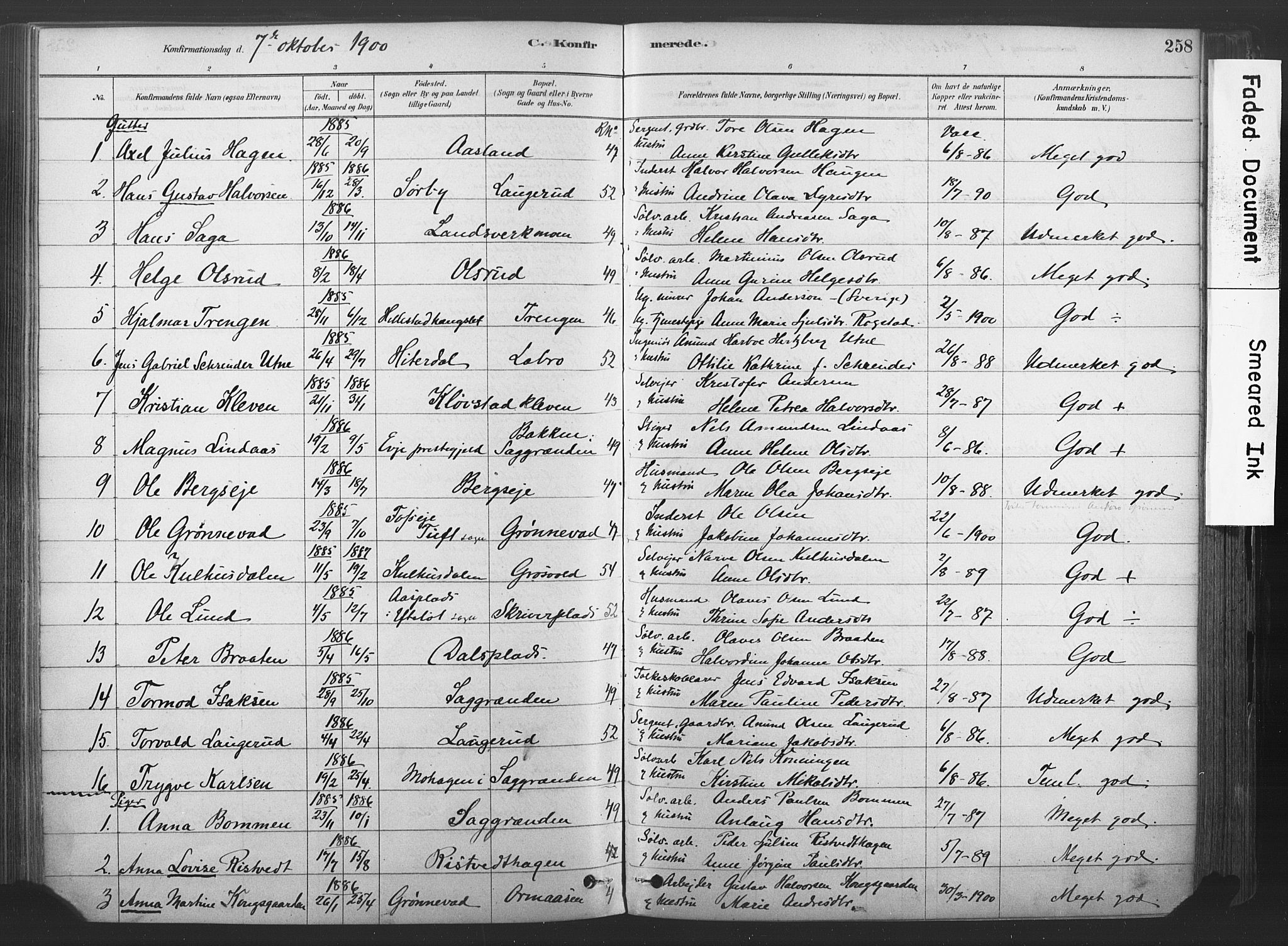 Sandsvær kirkebøker, AV/SAKO-A-244/F/Fd/L0001: Parish register (official) no. IV 1, 1878-1906, p. 258