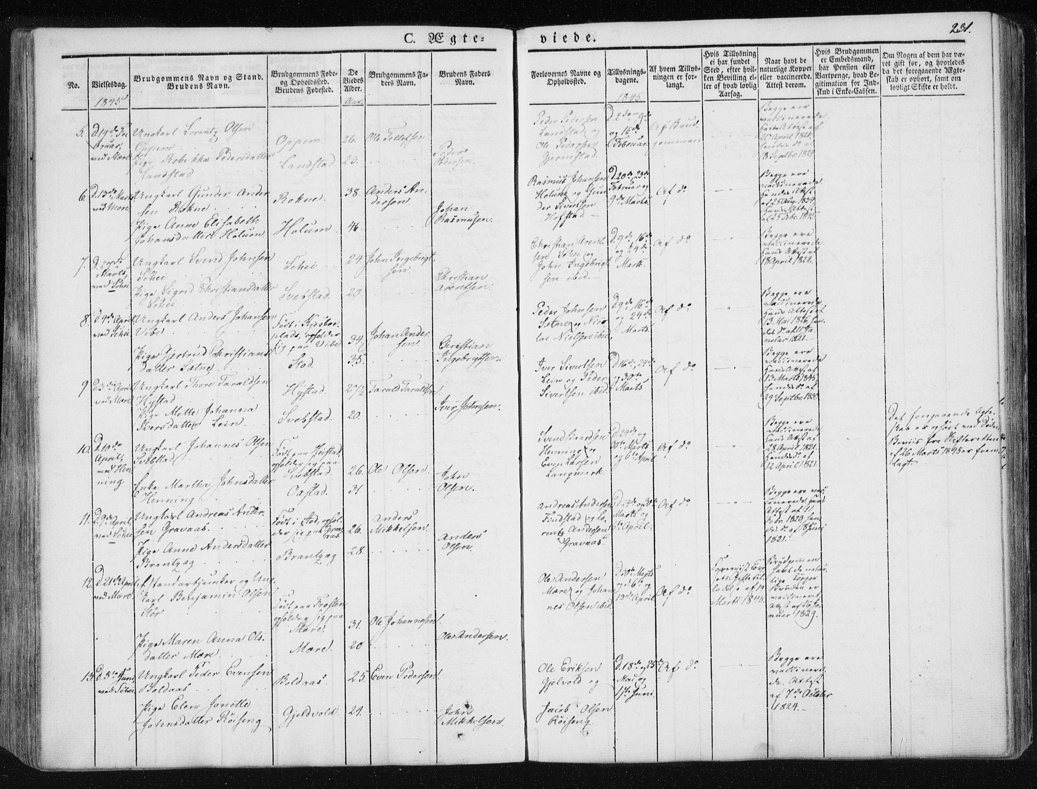 Ministerialprotokoller, klokkerbøker og fødselsregistre - Nord-Trøndelag, AV/SAT-A-1458/735/L0339: Parish register (official) no. 735A06 /1, 1836-1848, p. 231