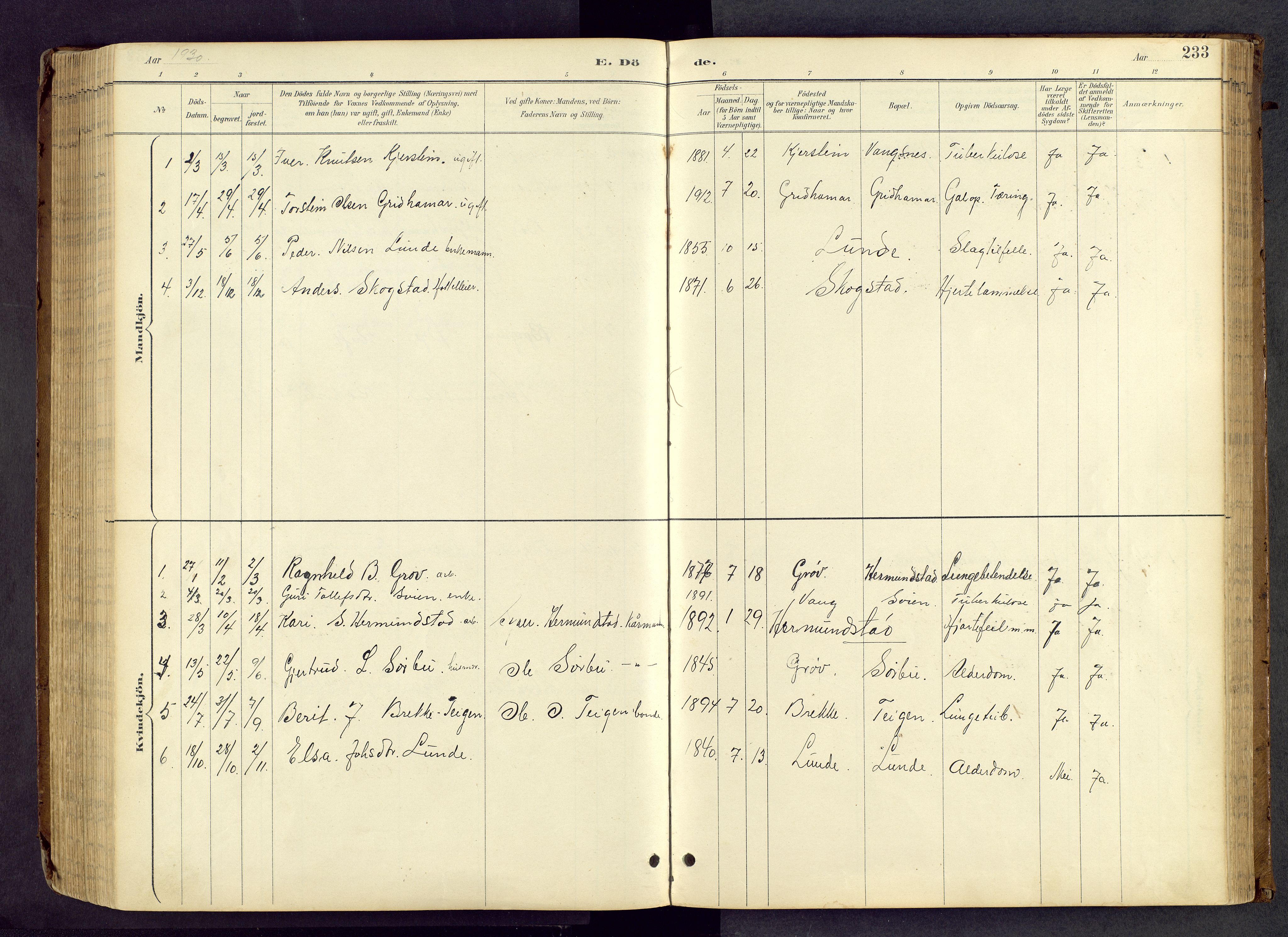 Vang prestekontor, Valdres, SAH/PREST-140/H/Hb/L0005: Parish register (copy) no. 5, 1889-1945, p. 233