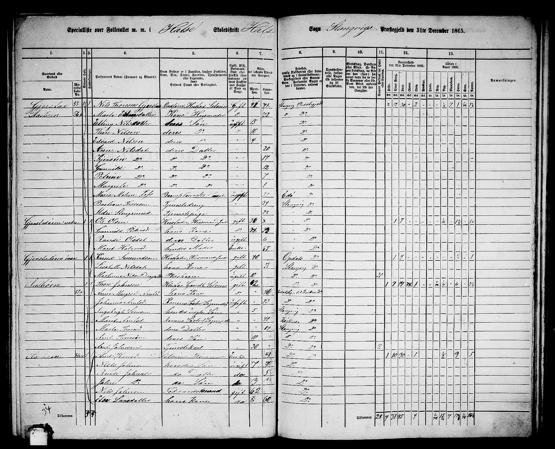 RA, 1865 census for Stangvik, 1865, p. 123