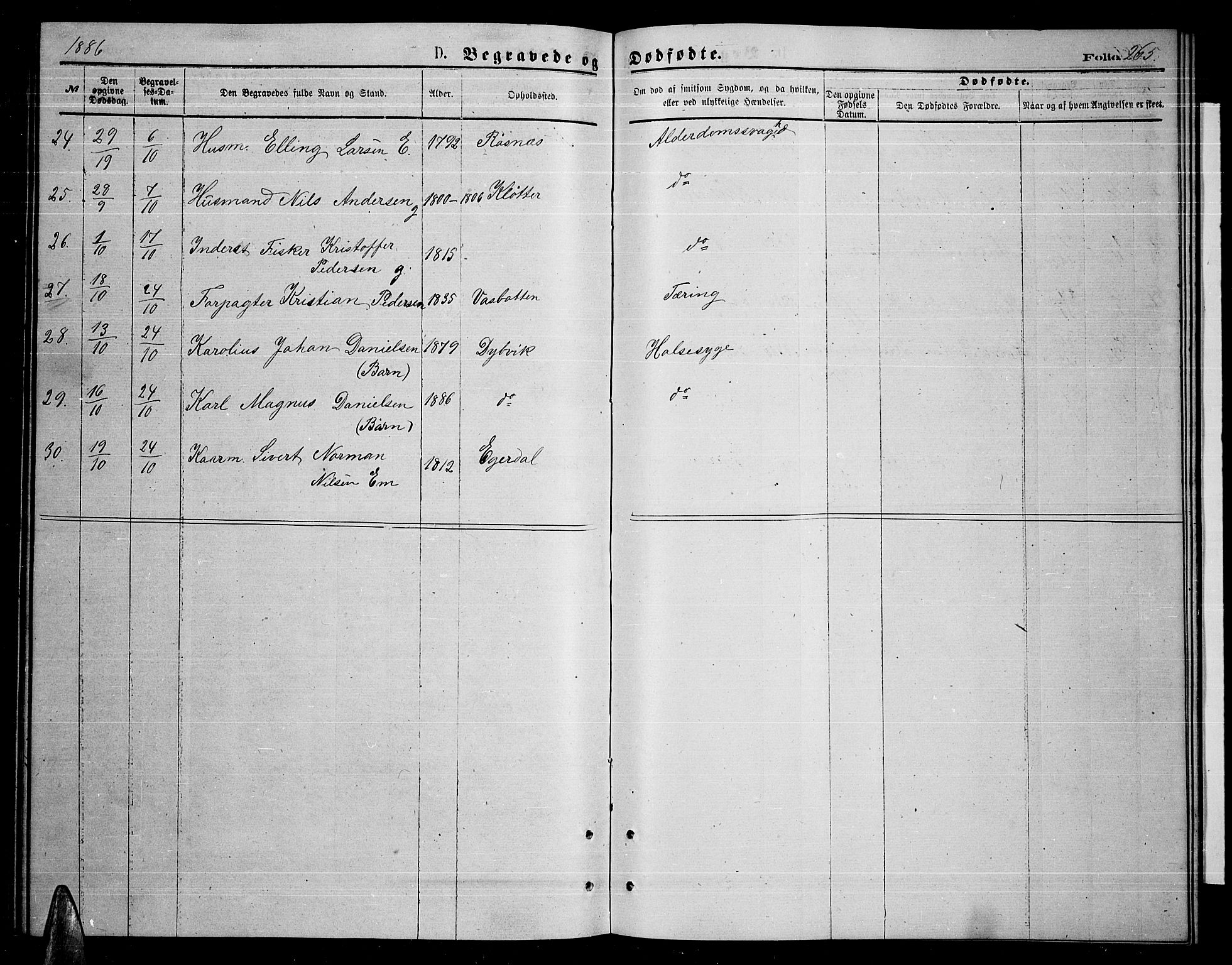 Ministerialprotokoller, klokkerbøker og fødselsregistre - Nordland, AV/SAT-A-1459/859/L0858: Parish register (copy) no. 859C04, 1873-1886, p. 265