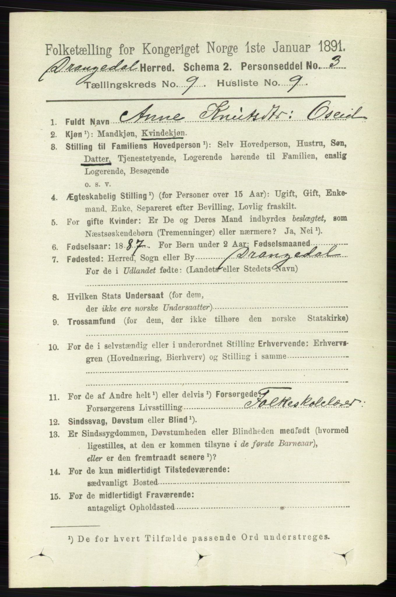 RA, 1891 census for 0817 Drangedal, 1891, p. 3175