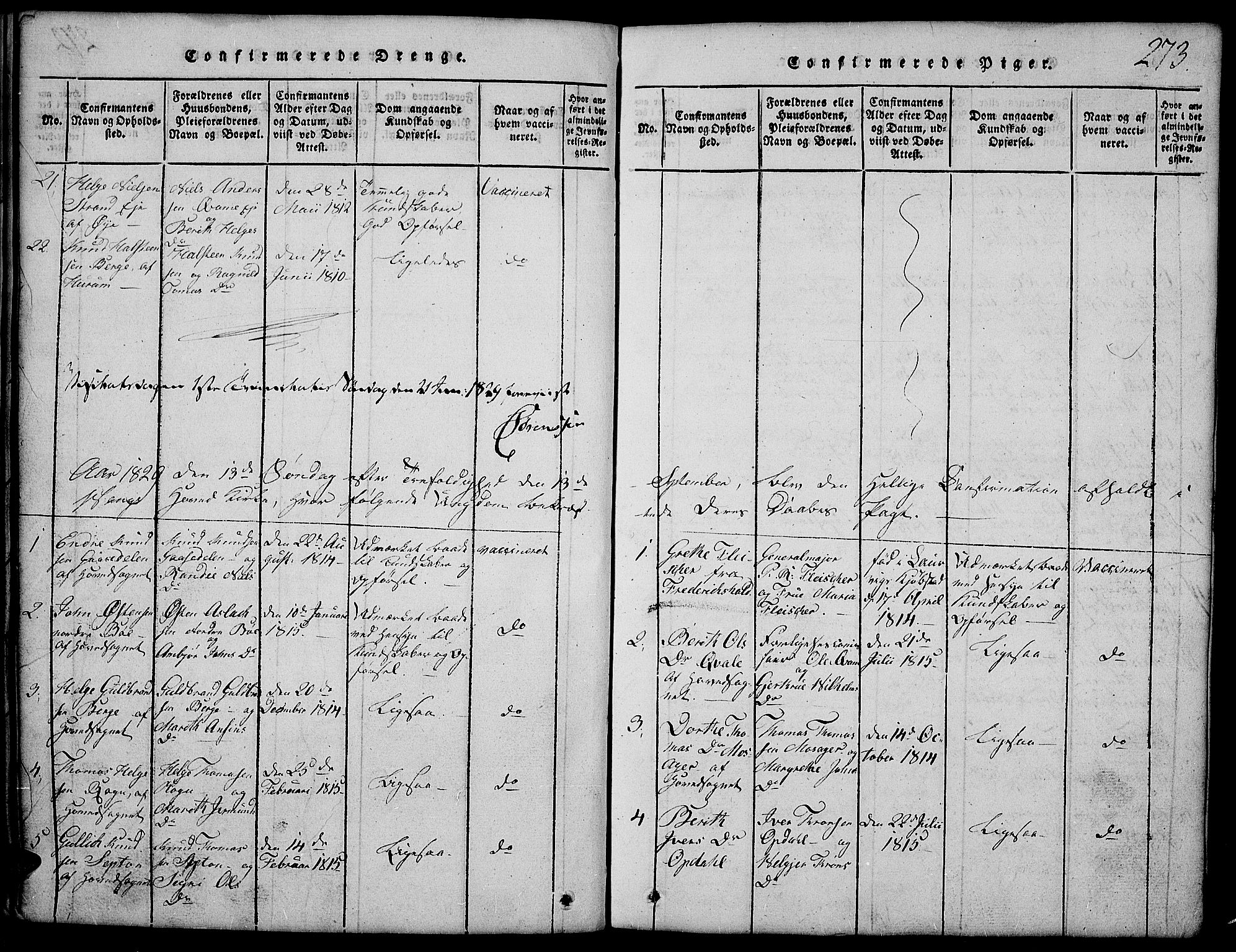 Vang prestekontor, Valdres, SAH/PREST-140/H/Hb/L0002: Parish register (copy) no. 2, 1814-1889, p. 273
