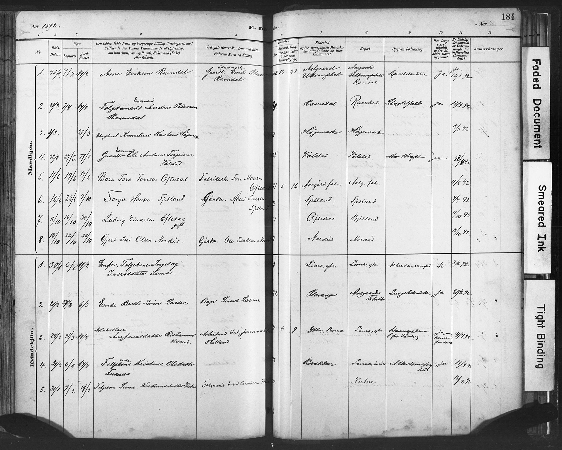 Lye sokneprestkontor, SAST/A-101794/001/30BA/L0010: Parish register (official) no. A 10, 1881-1896, p. 184