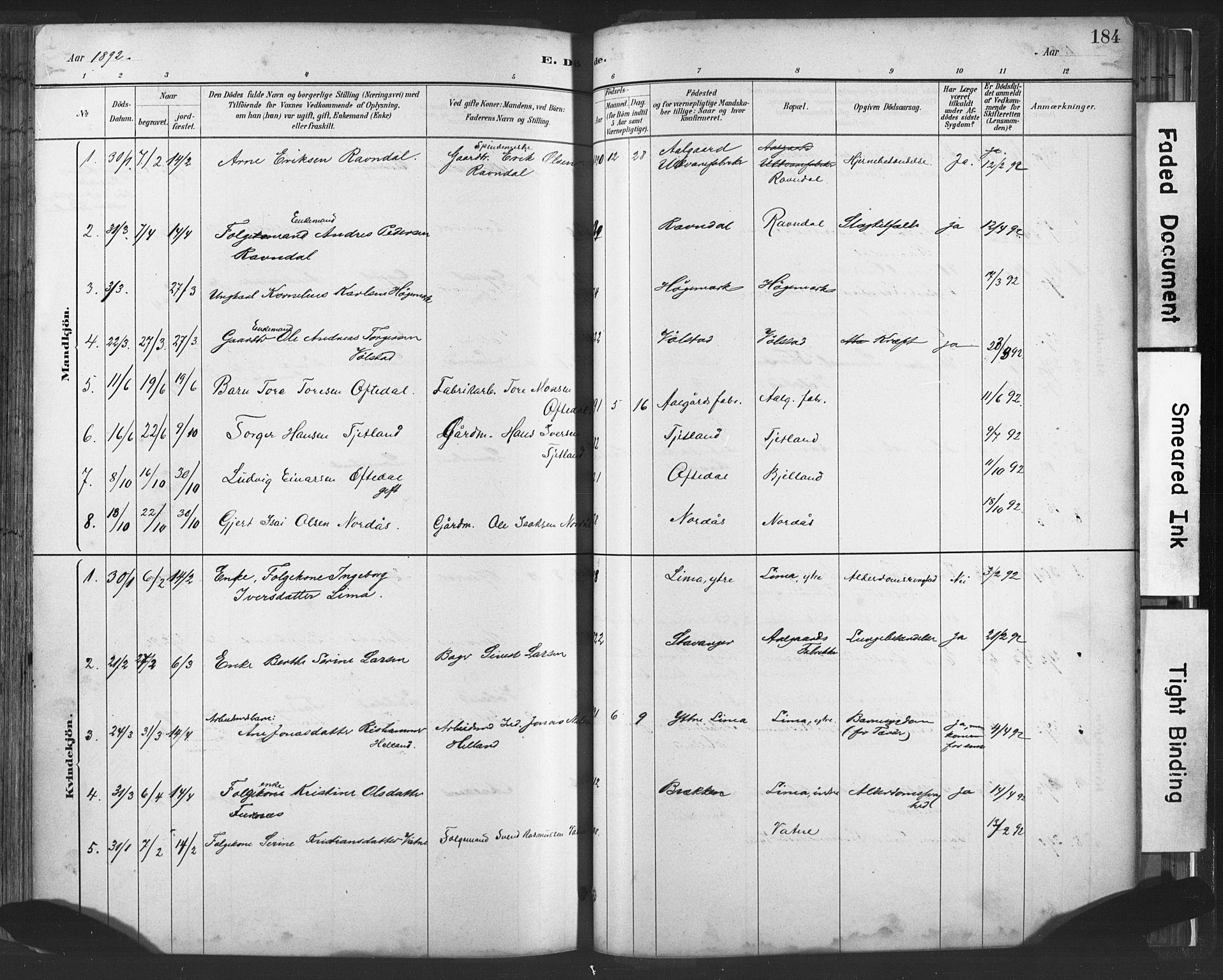 Lye sokneprestkontor, AV/SAST-A-101794/001/30BA/L0010: Parish register (official) no. A 10, 1881-1896, p. 184